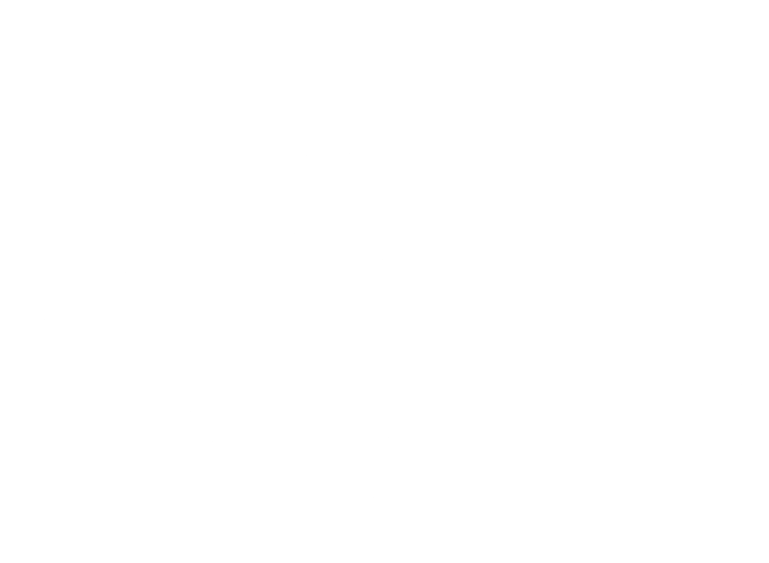 보스 라이즈