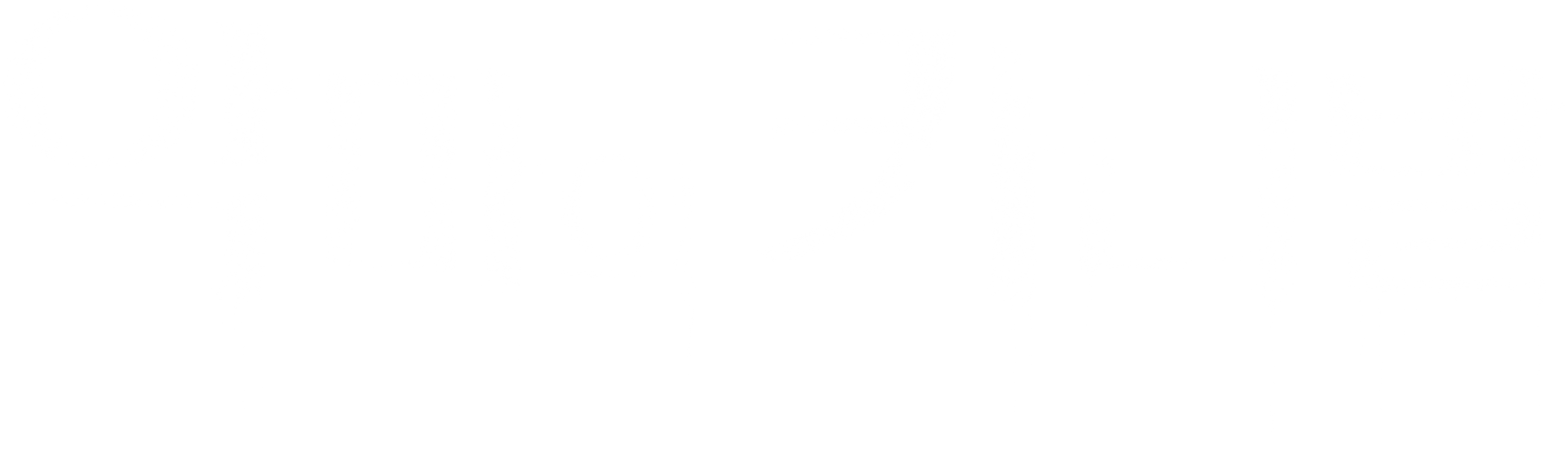 악마의 카니발