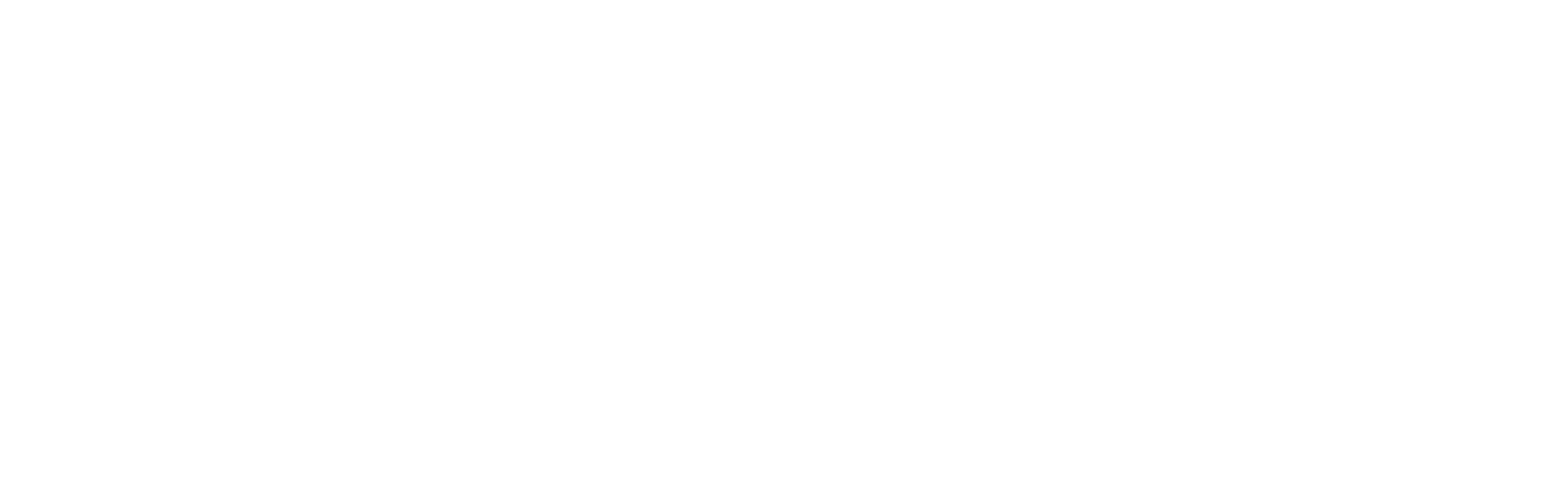 엽문 2 특별판
