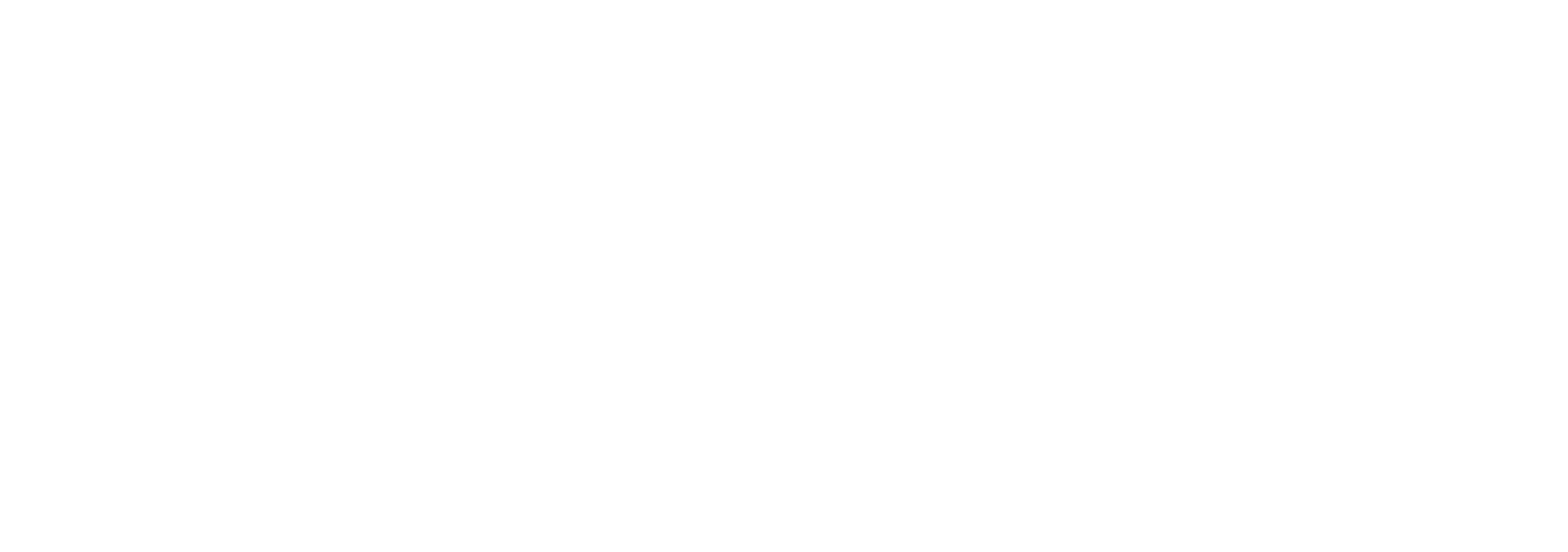 본 레이크: 위험한 체크인