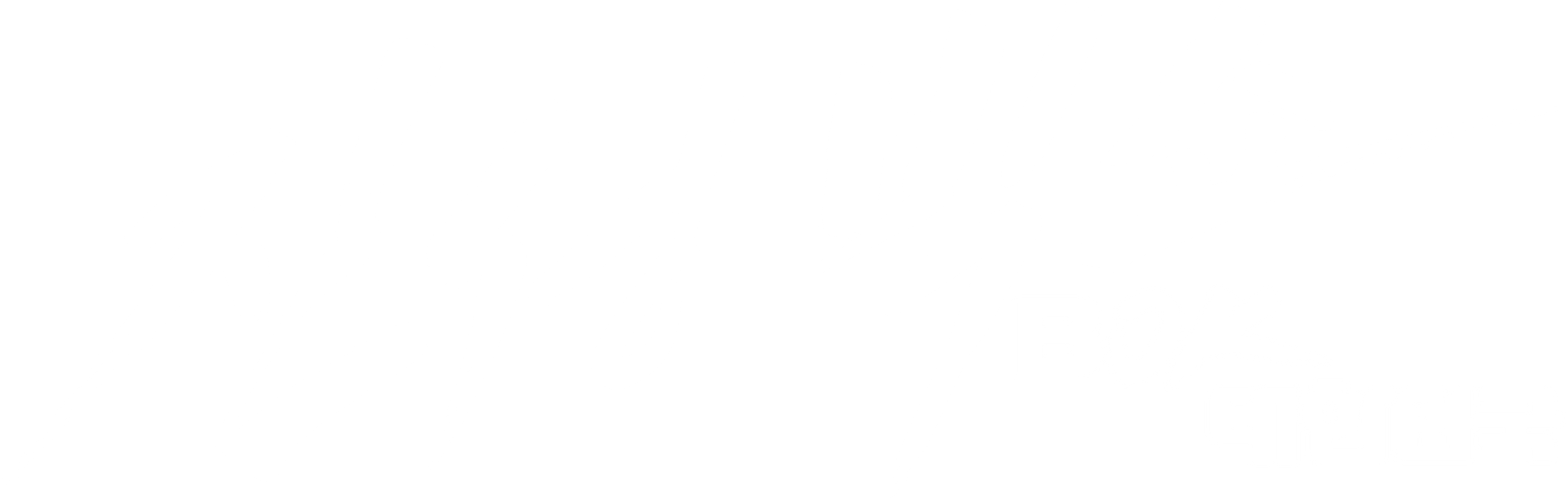 설 특집 진성빅쇼 복(BOK) 대한민국