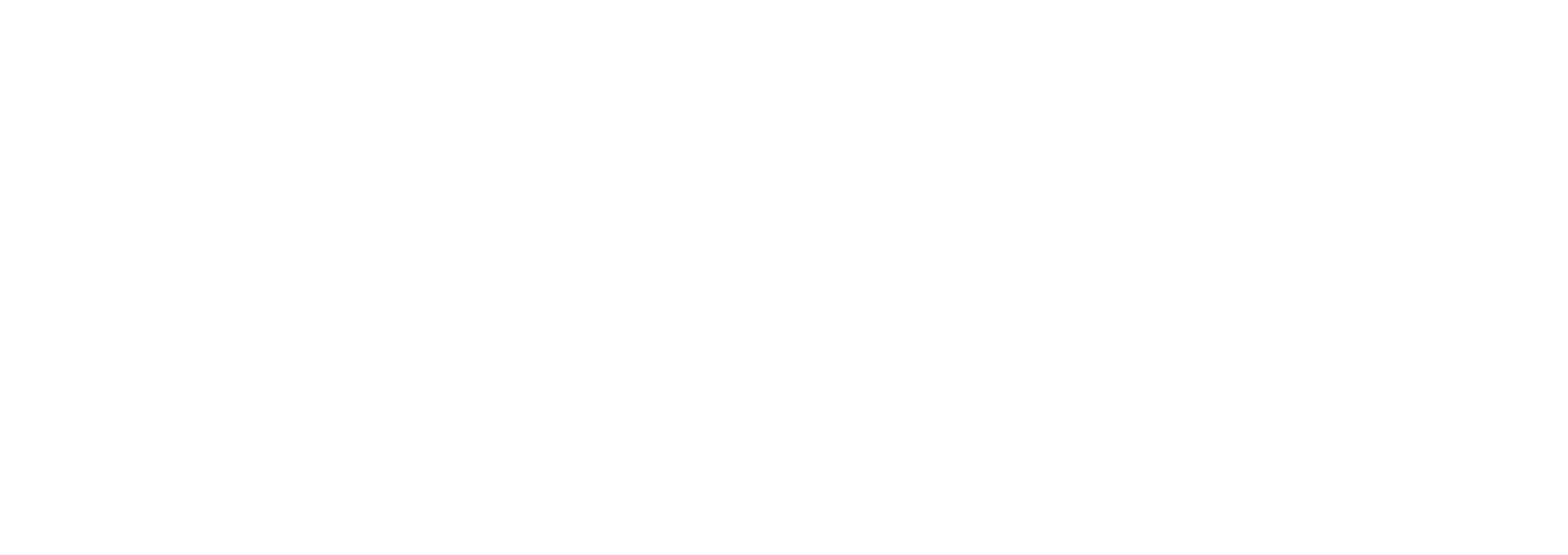 더 건맨