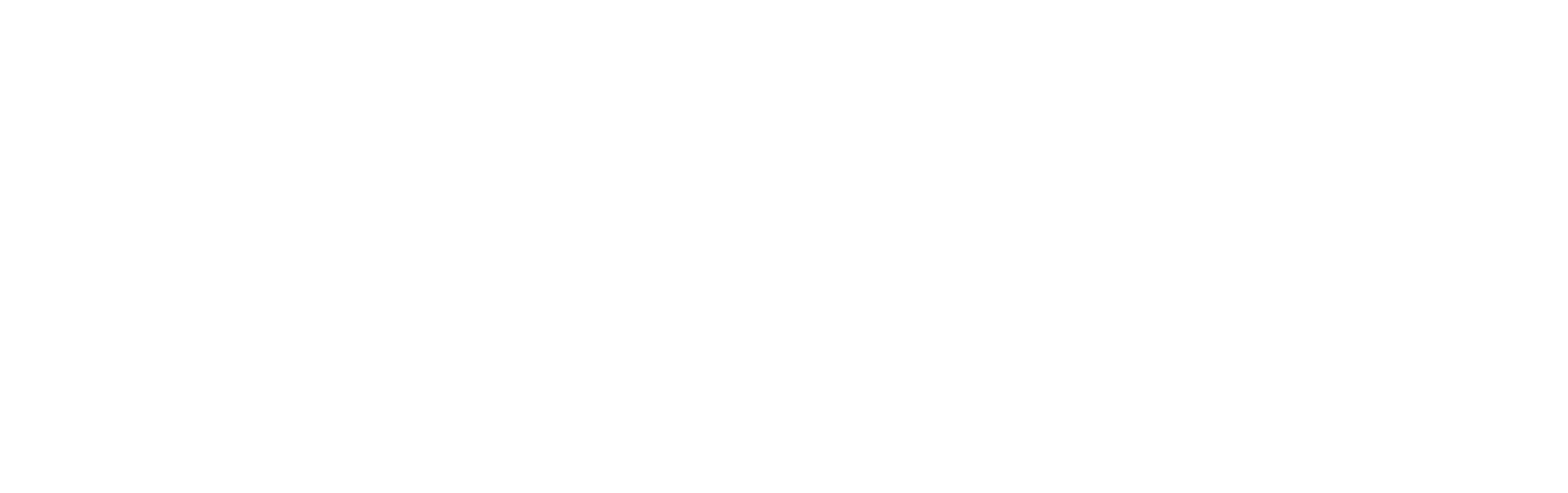 스텔라