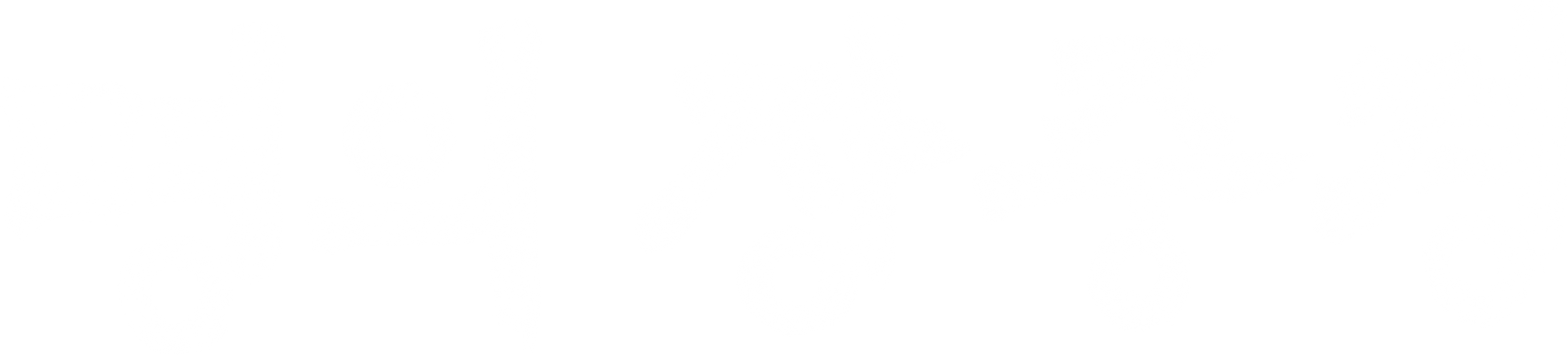 명의 장중경