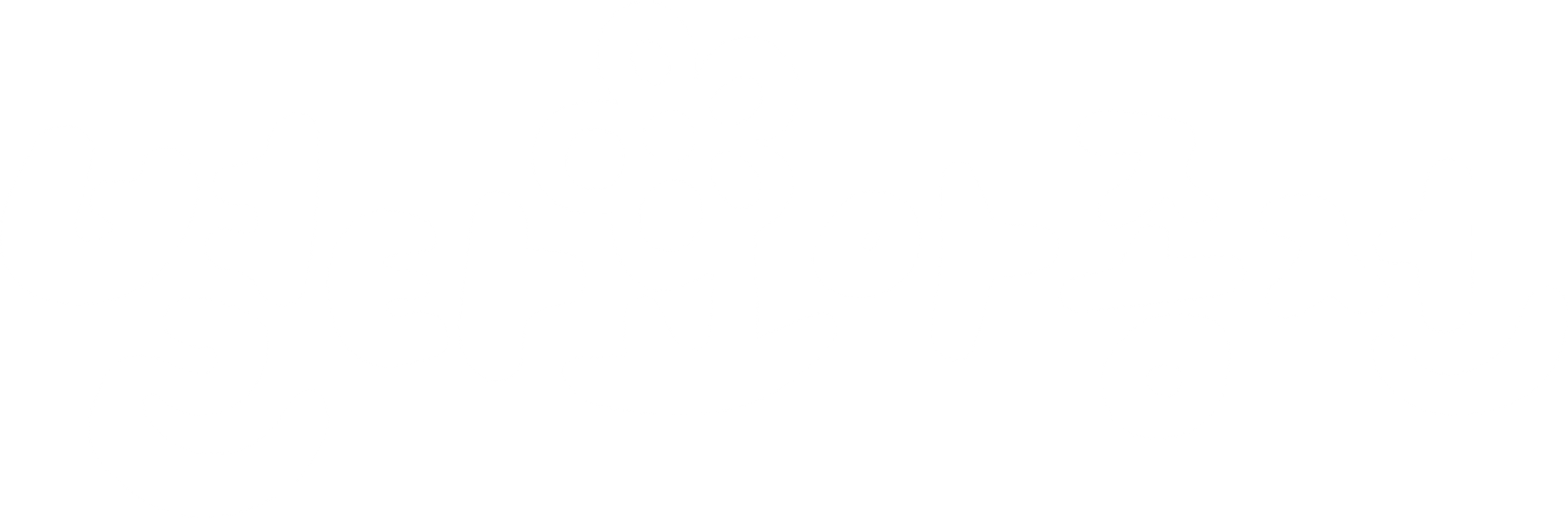 별타요아종전