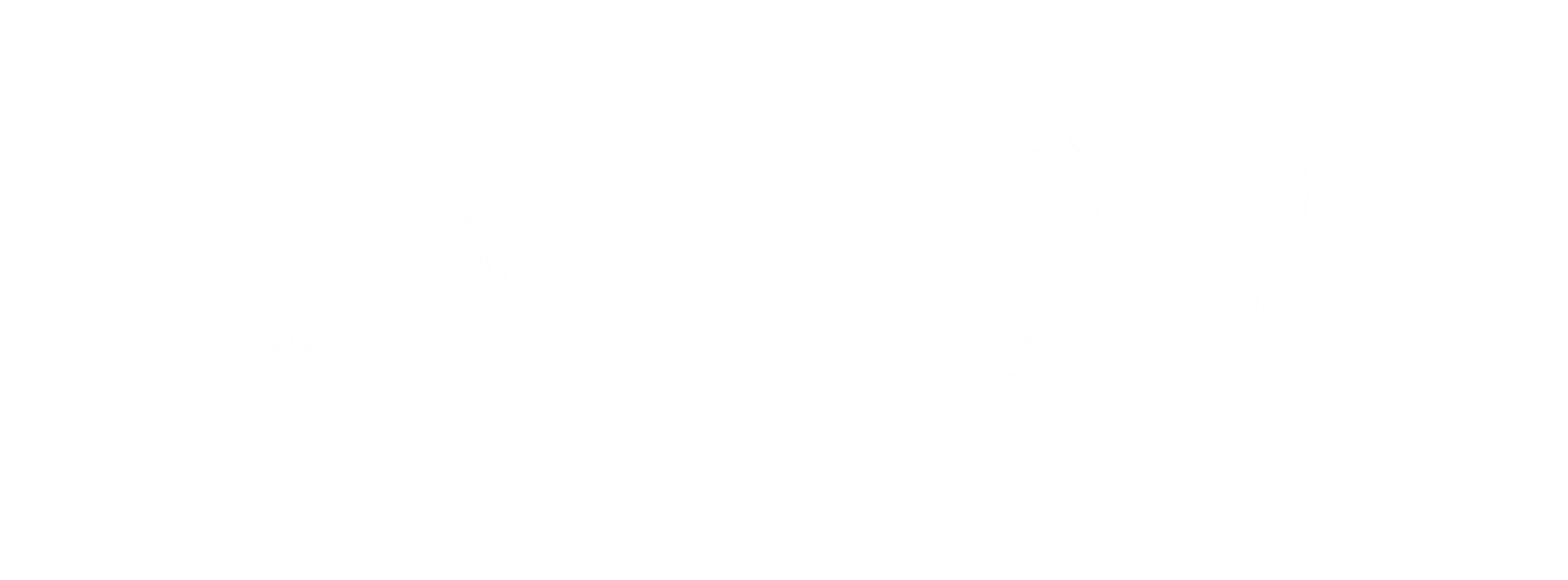 진봉십삼재 : 먼지 쌓인 13년