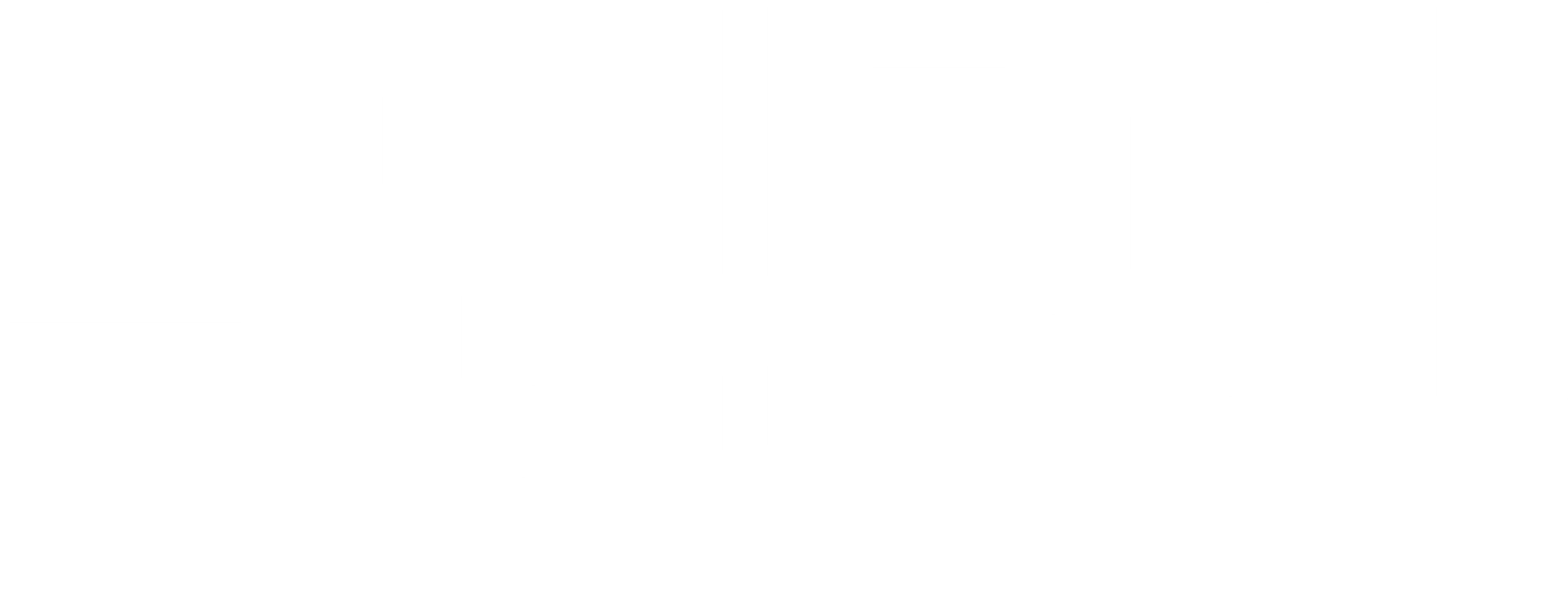 돌핀보이
