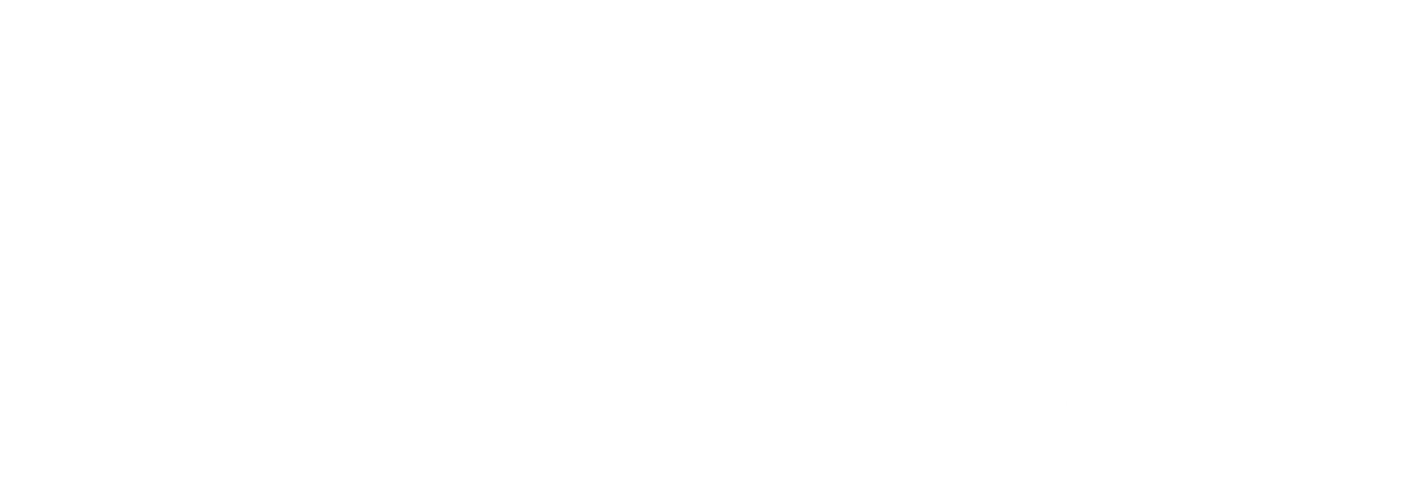 반전인생