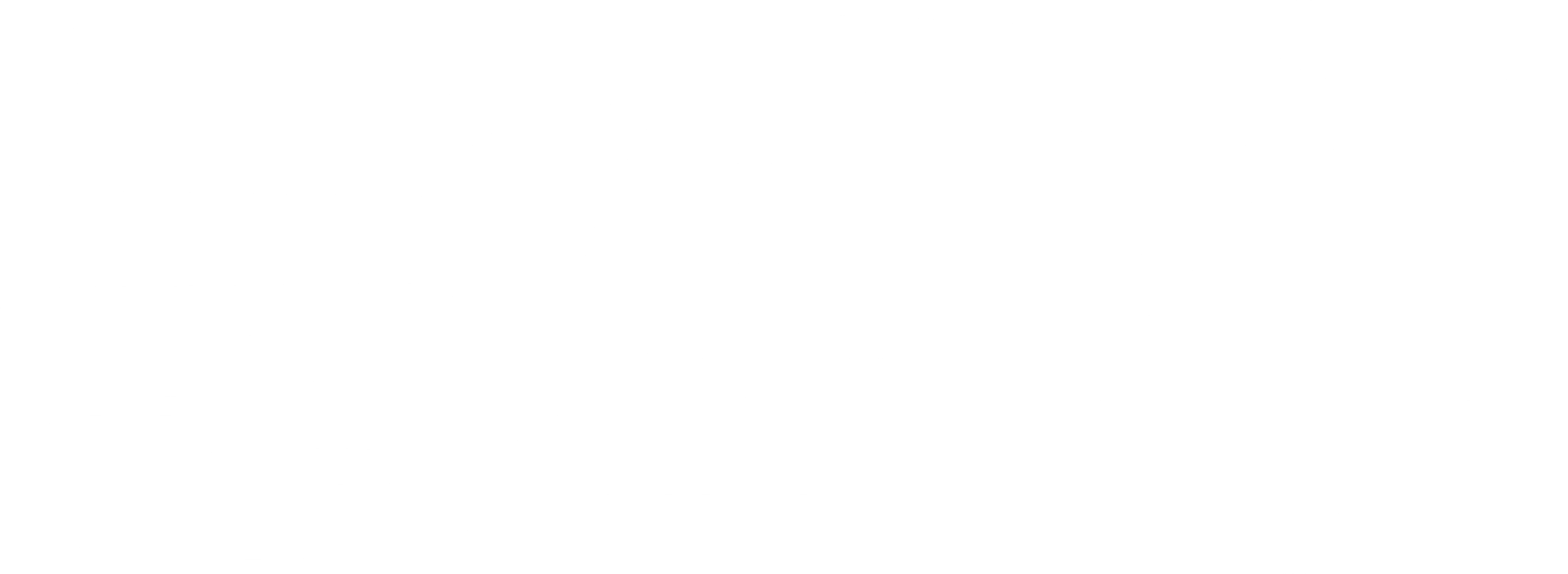 플로우