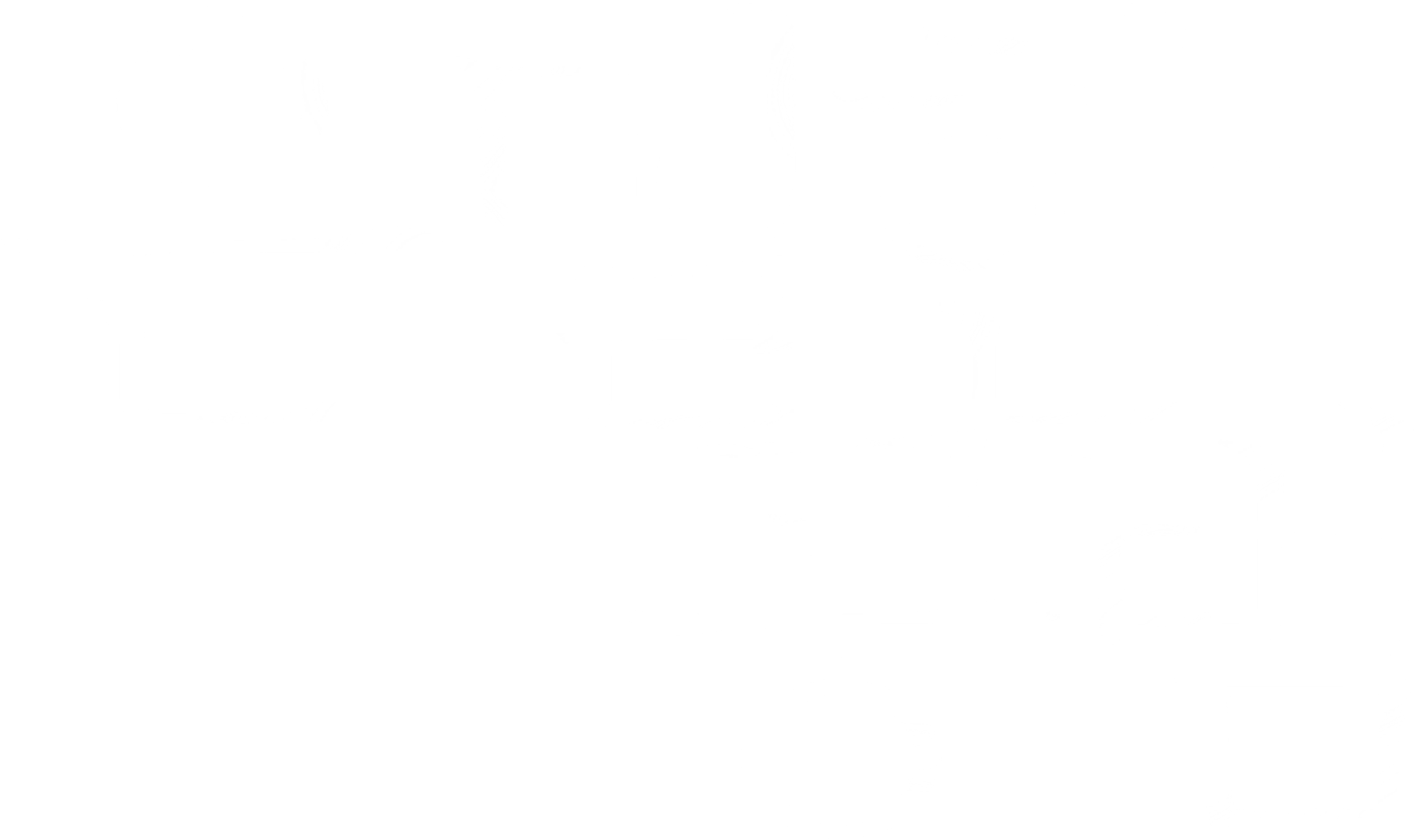 은밀한 공범