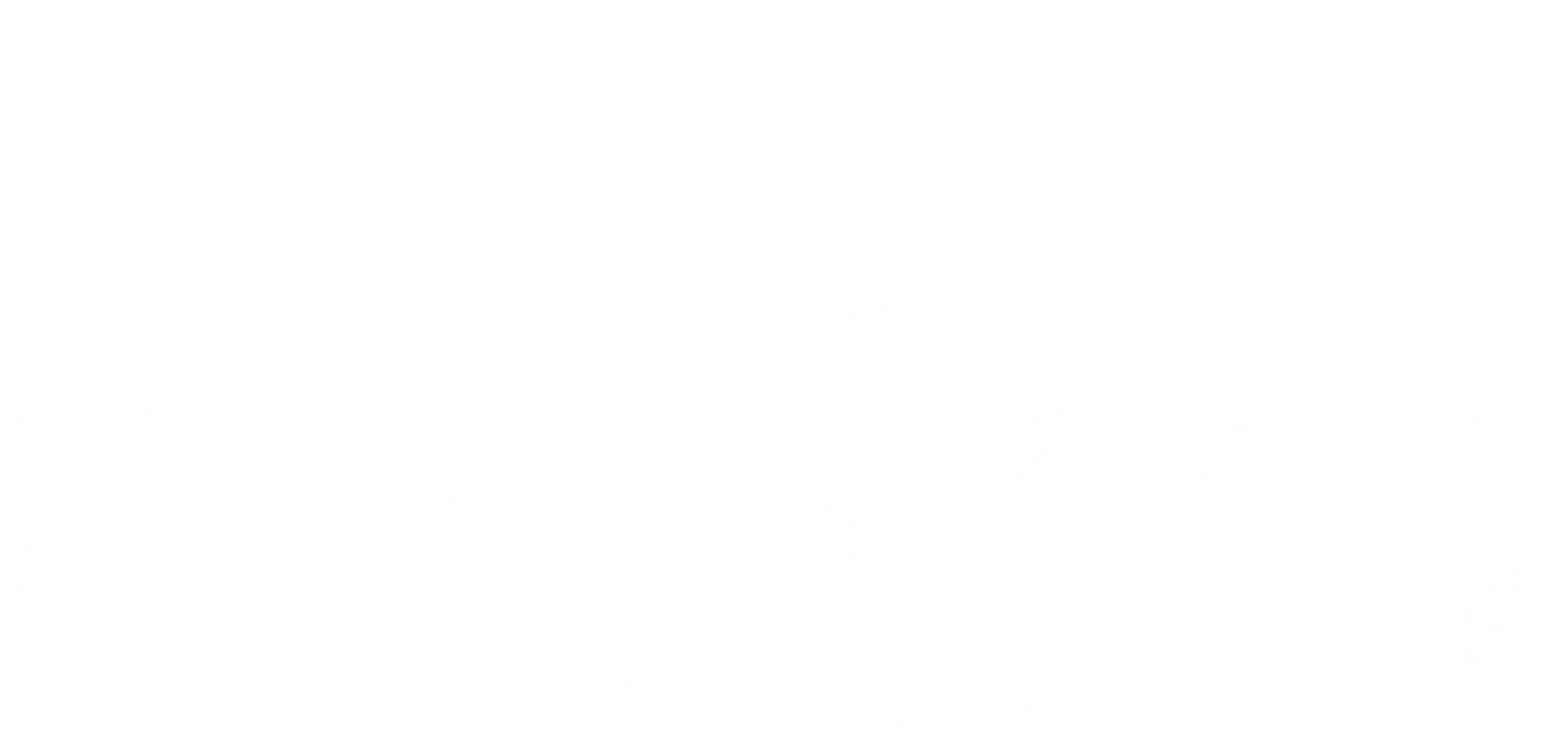 살룸의 하이에나