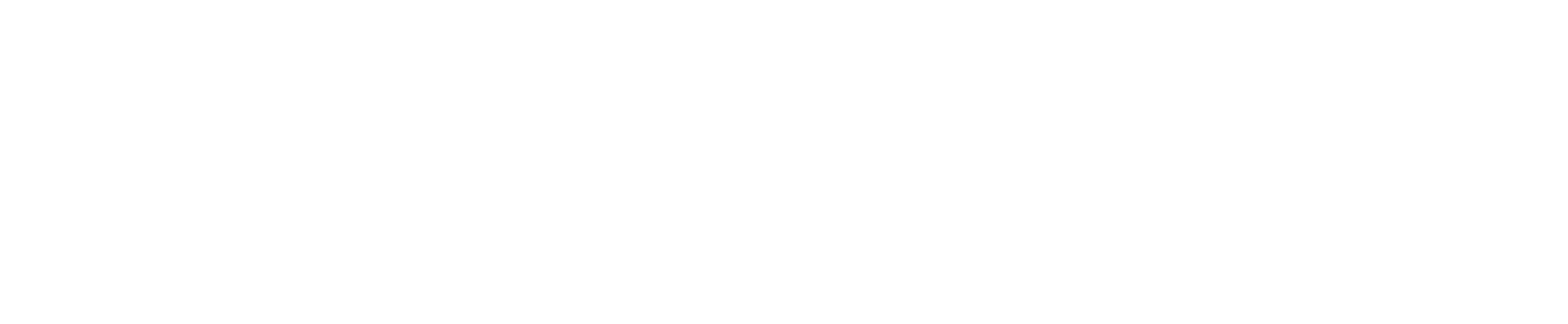 로스트 시티