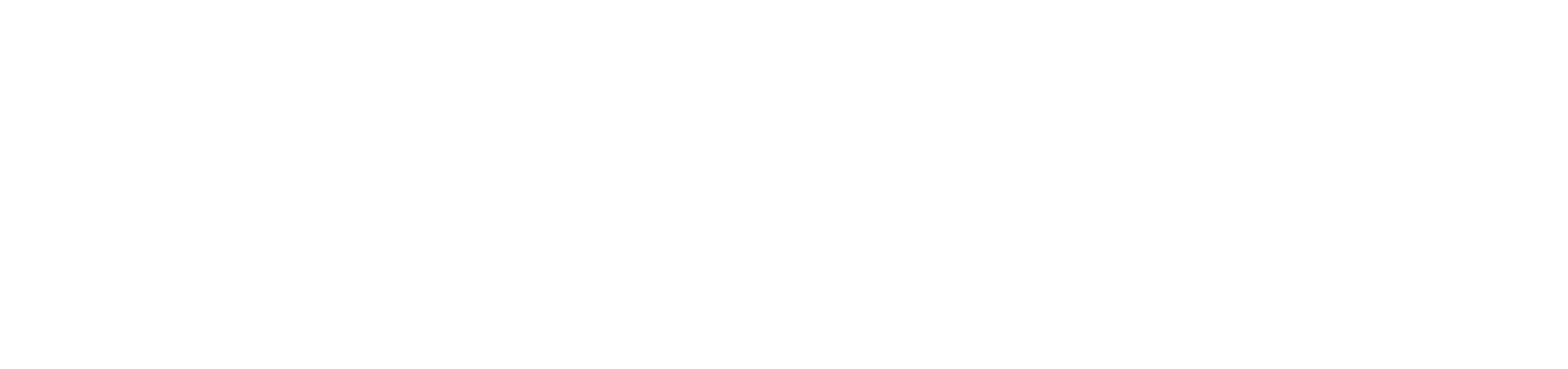 스카우트