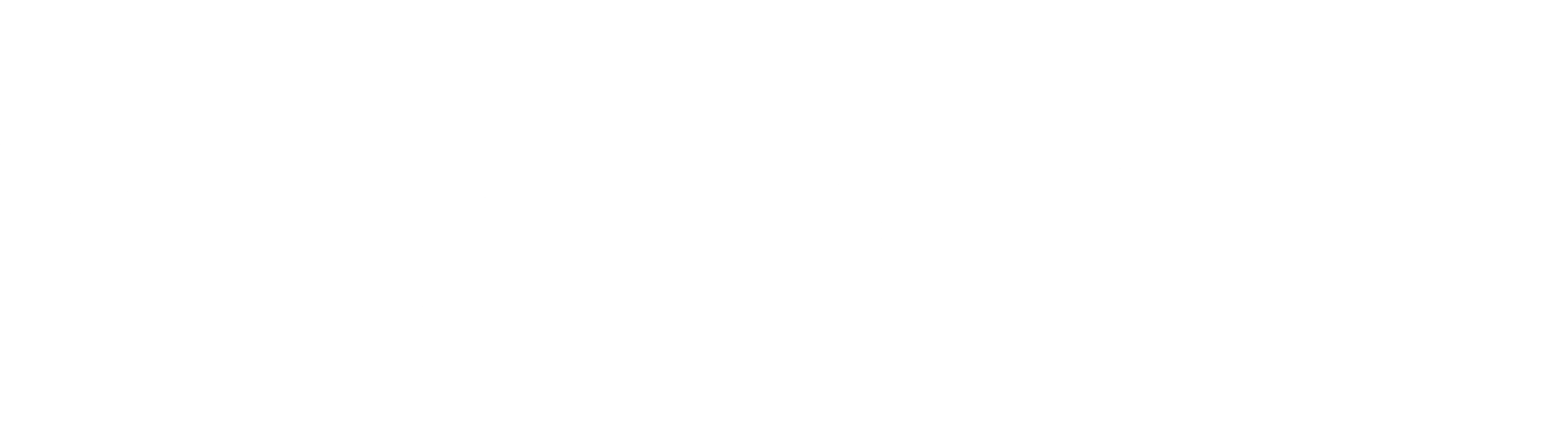 더+메디컬