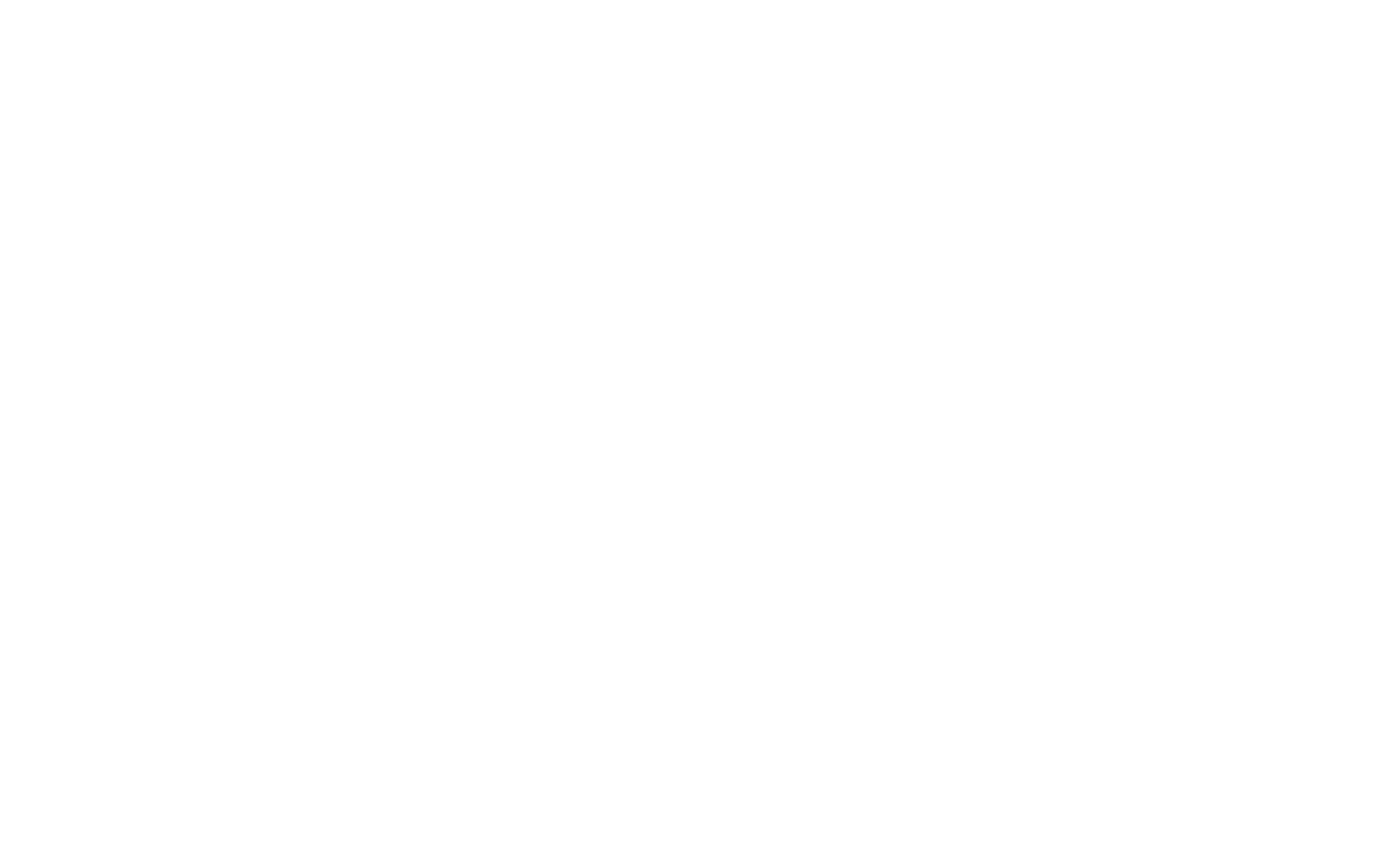 호심