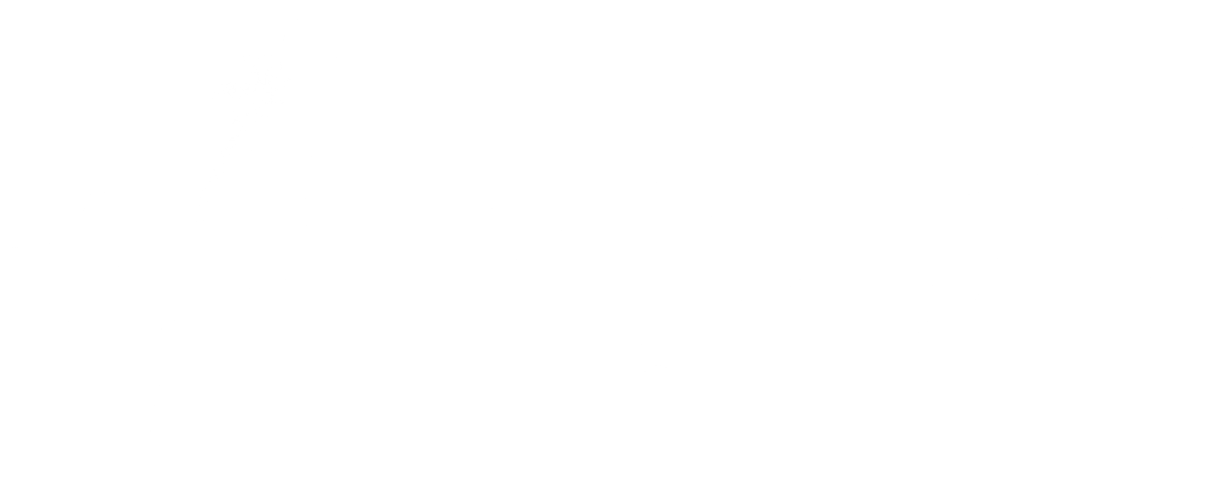 피도 눈물도 없이