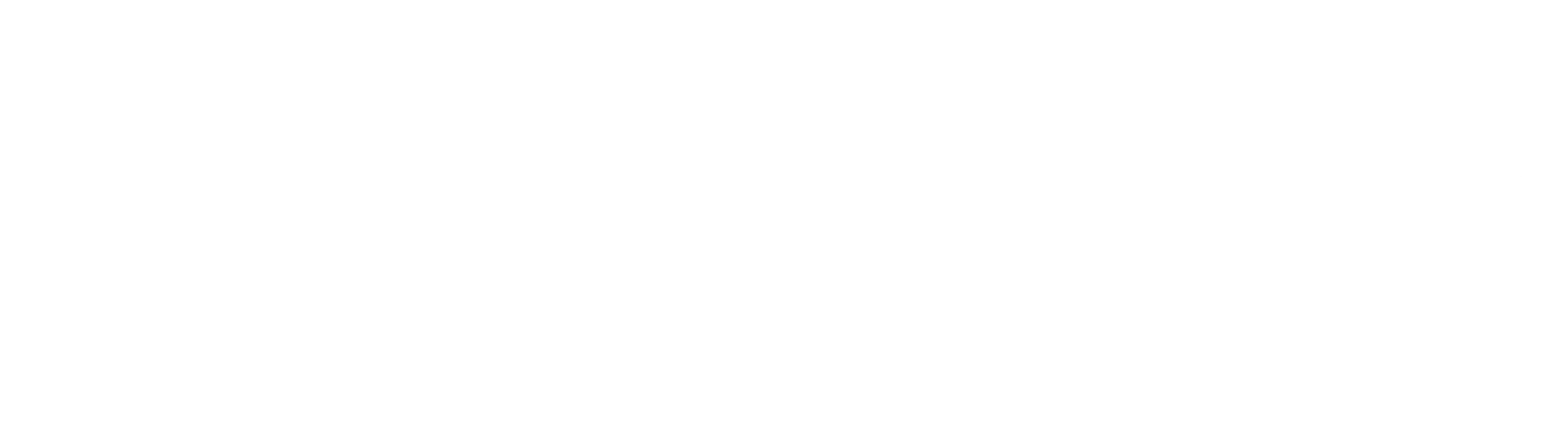 태극권 2014 : 어전시위