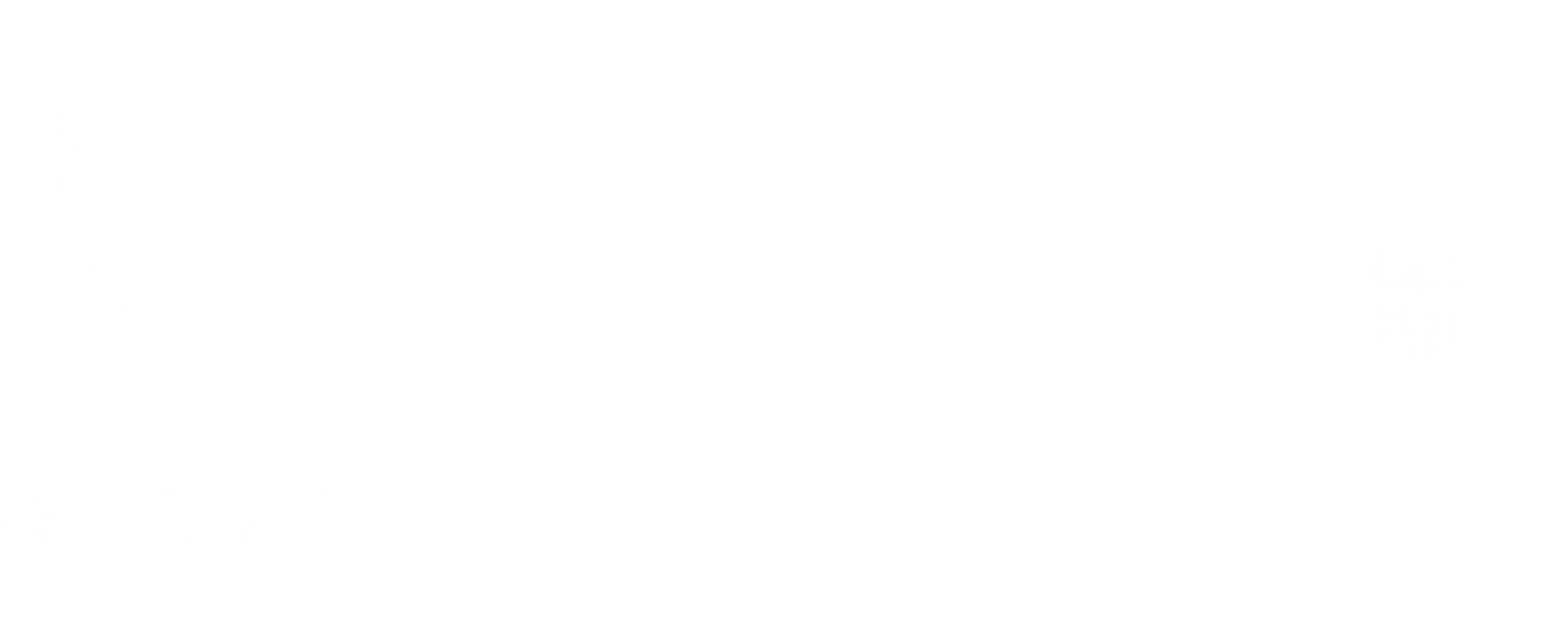 히든