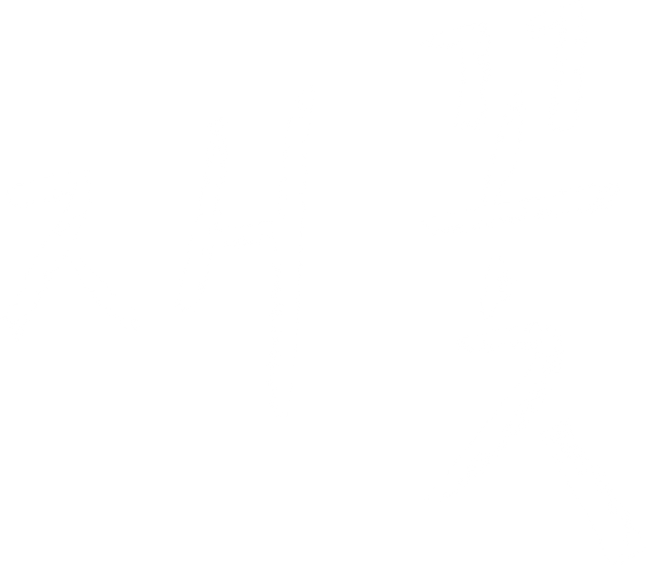 재꽃