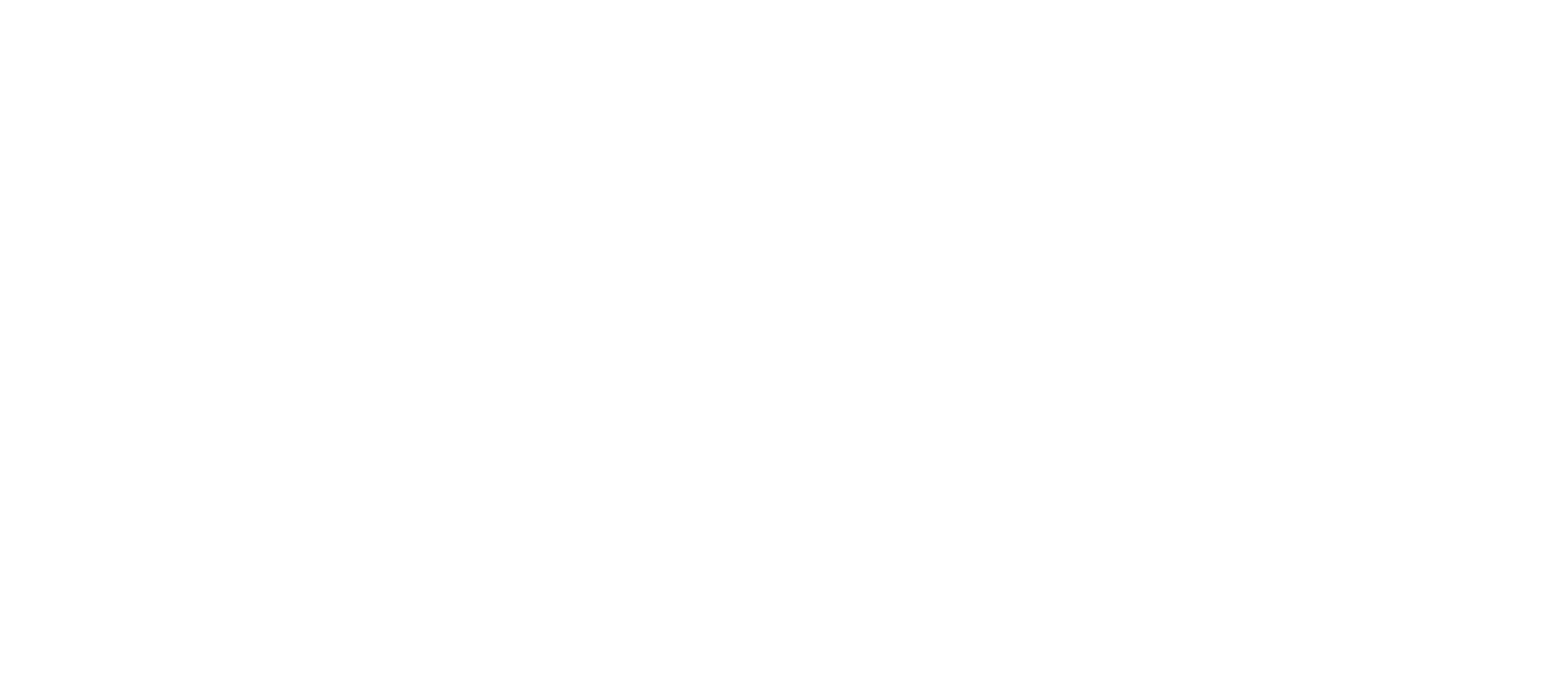 나루토 5기