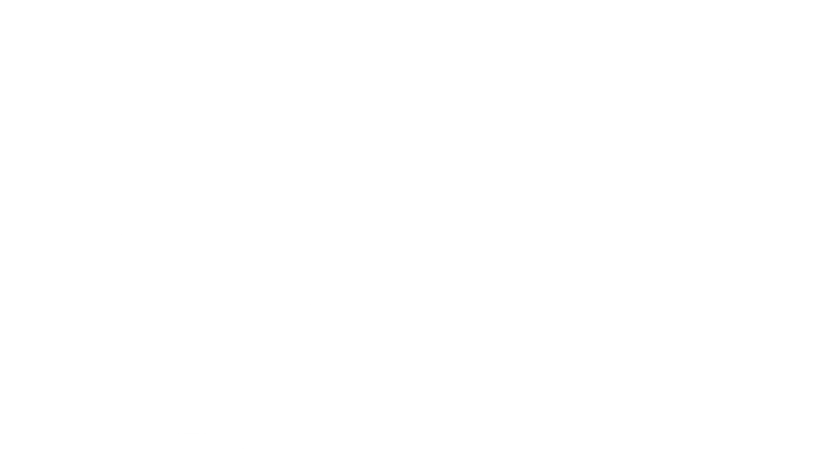 인생