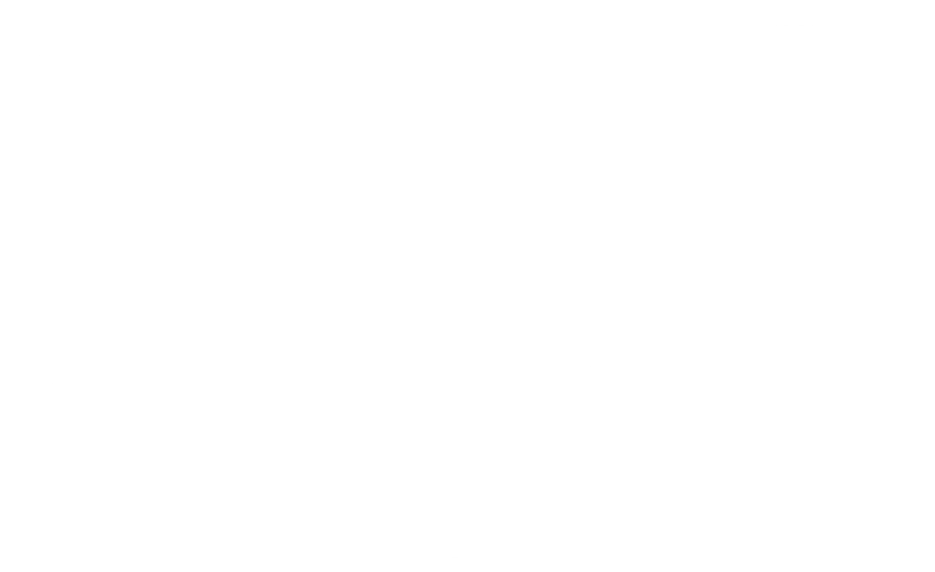 대진제국4 : 대진부