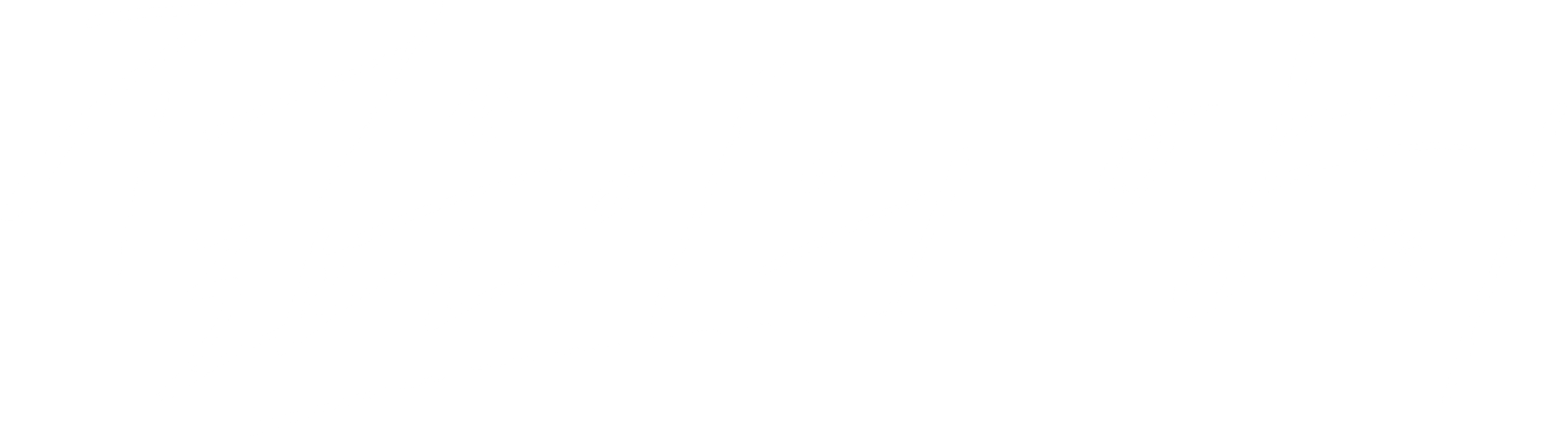 젊은이의 양지