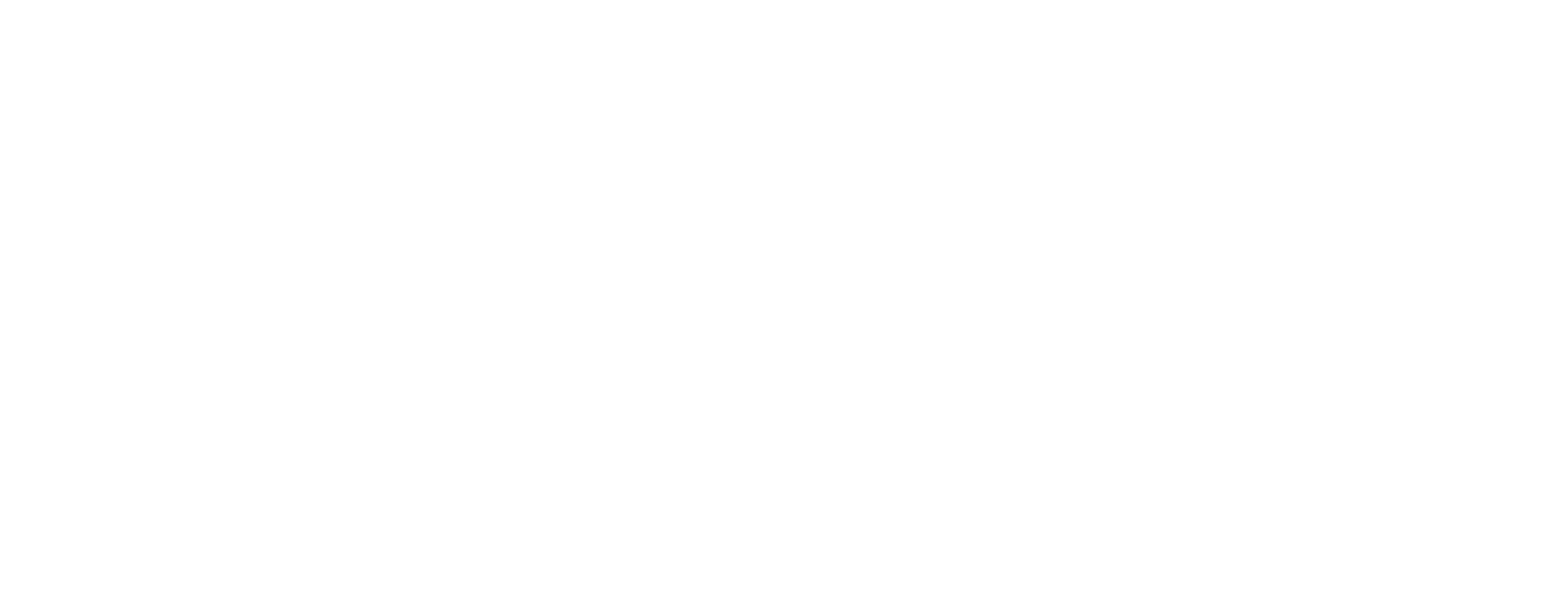 서치
