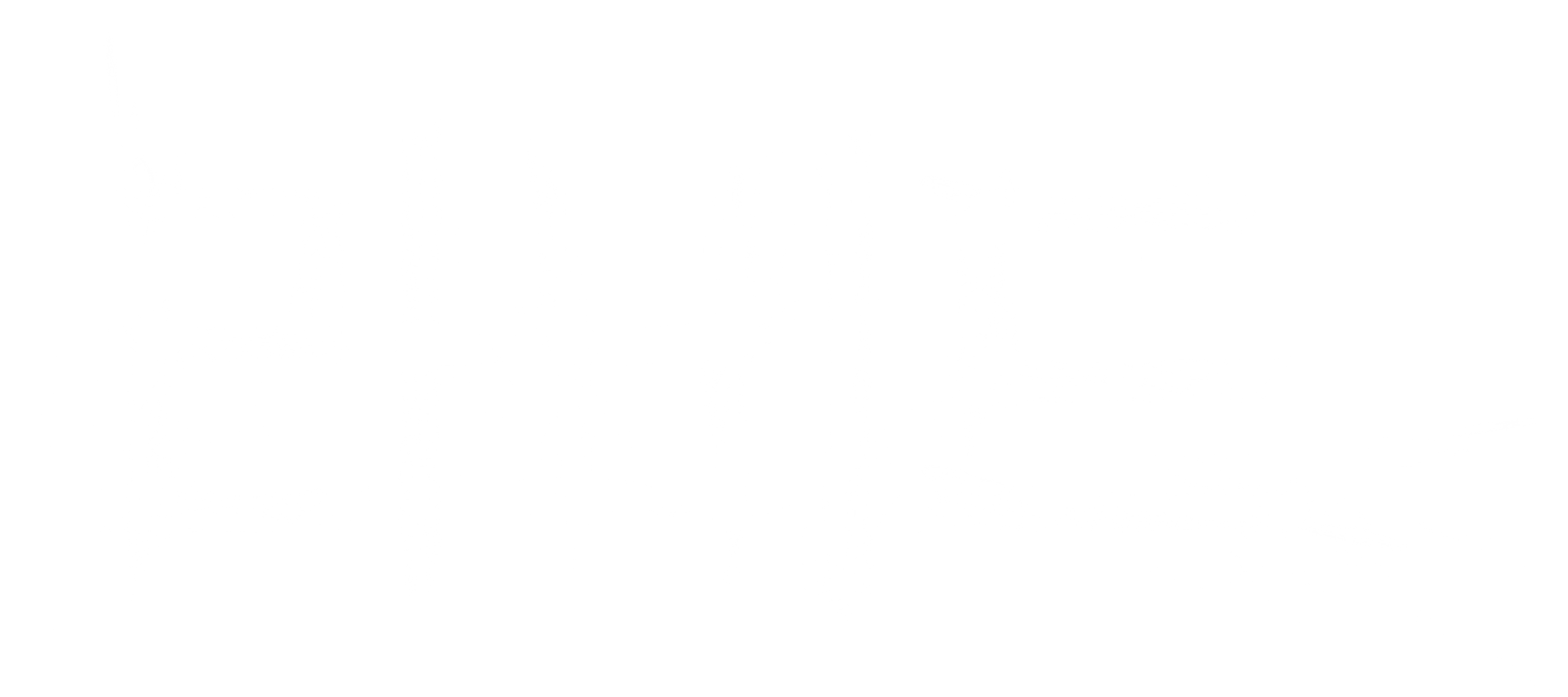 라비드