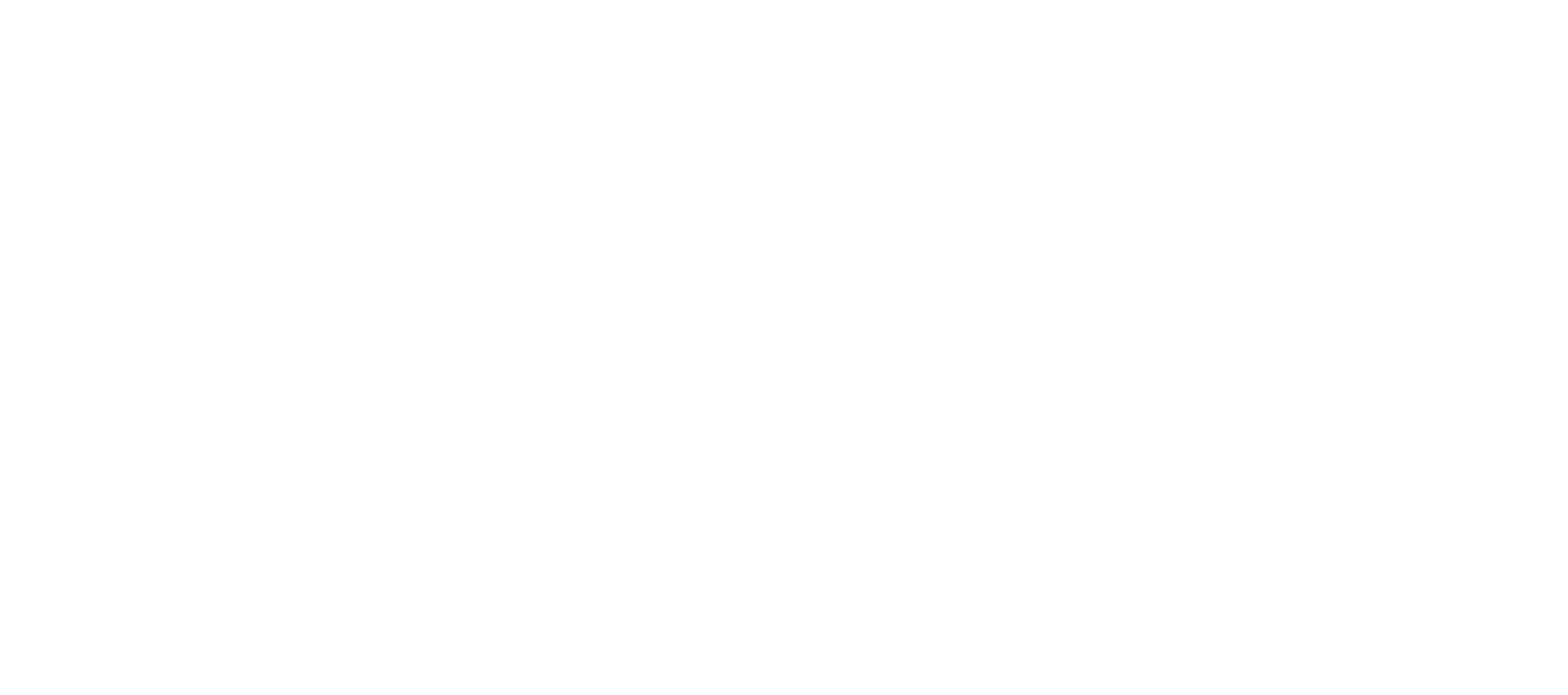 파파독