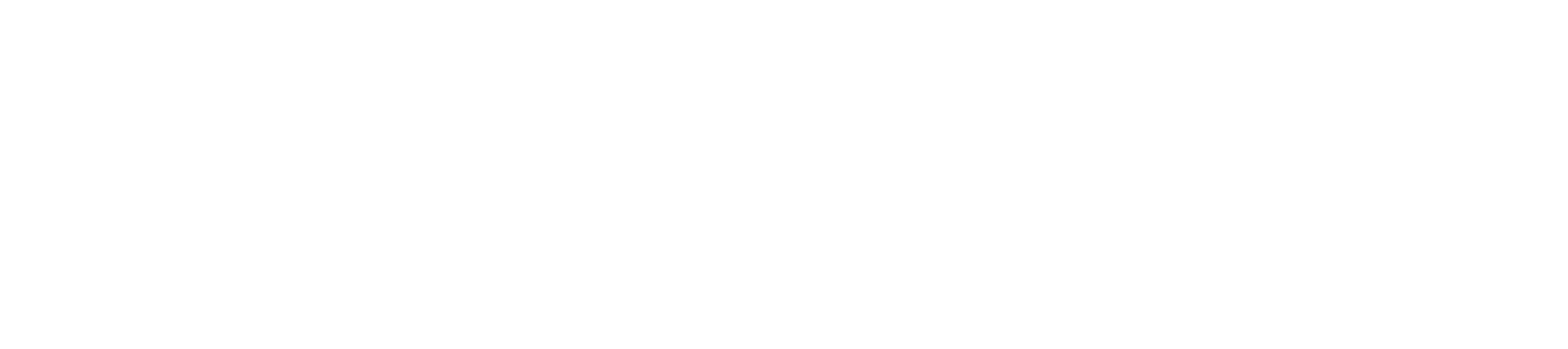 정복자 펠레