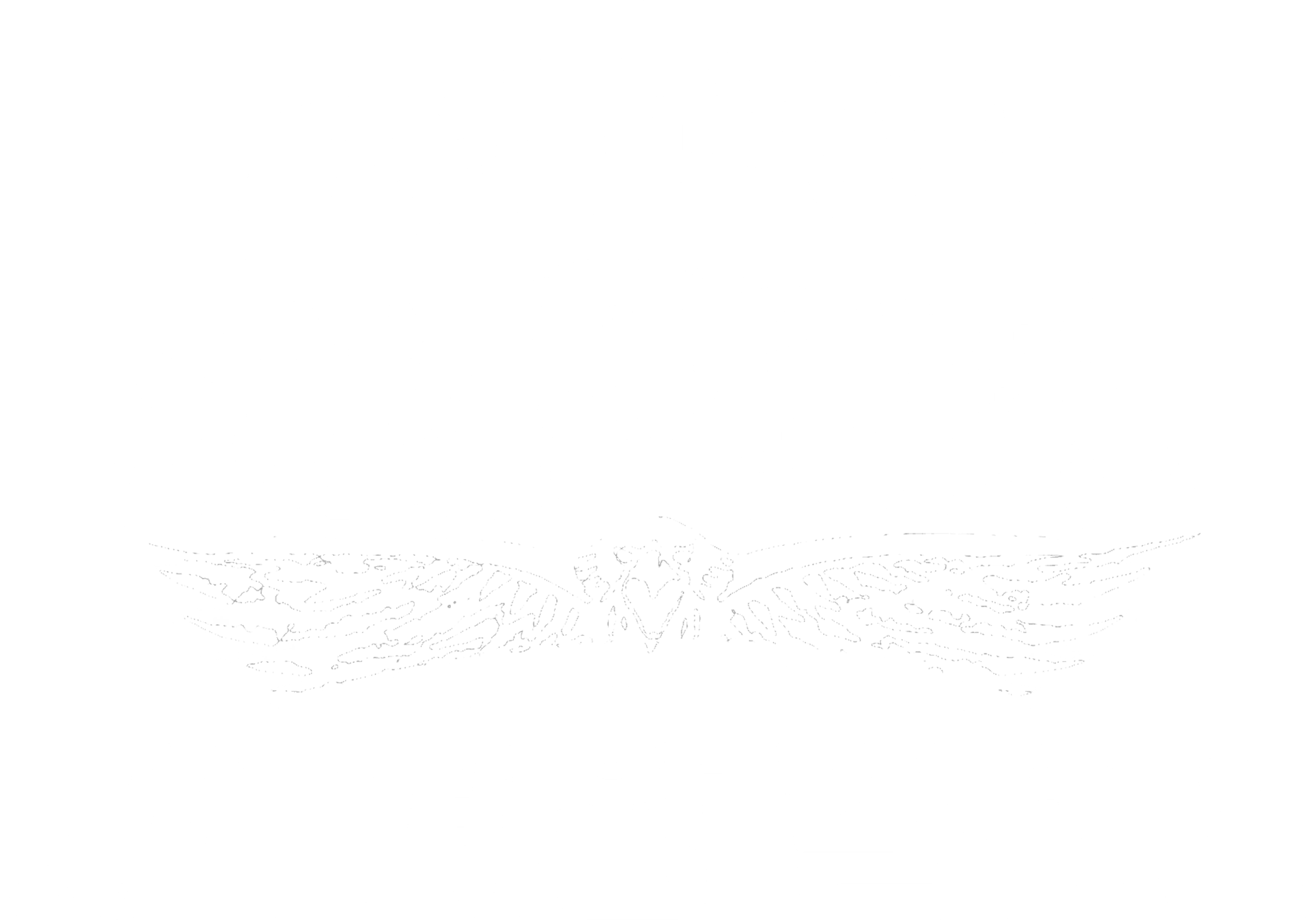 극장판 파워레인저 애니멀포스 지구제왕결정전