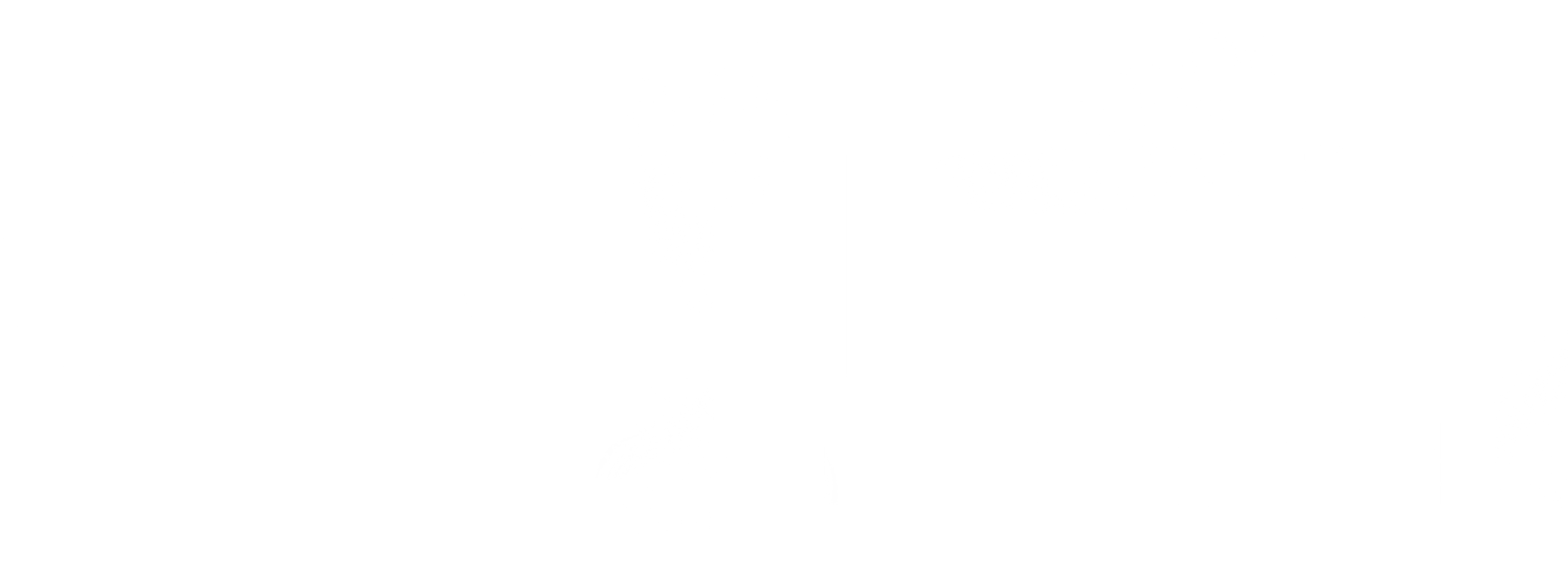 악의 도시