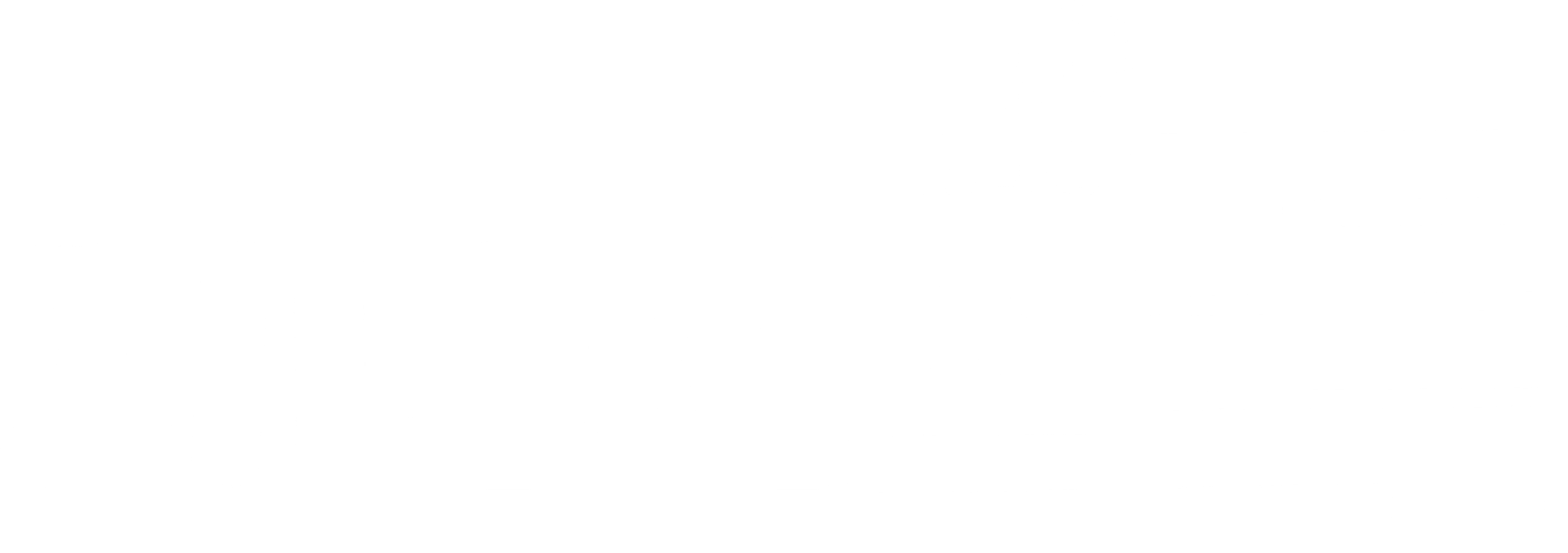 지니어스 독