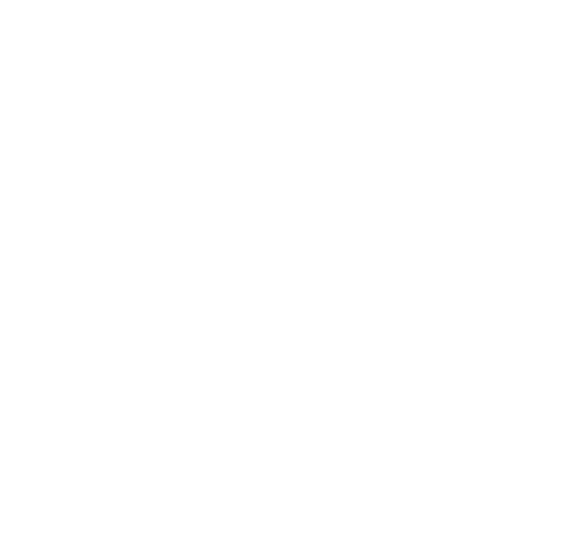 피쉬 스쿨