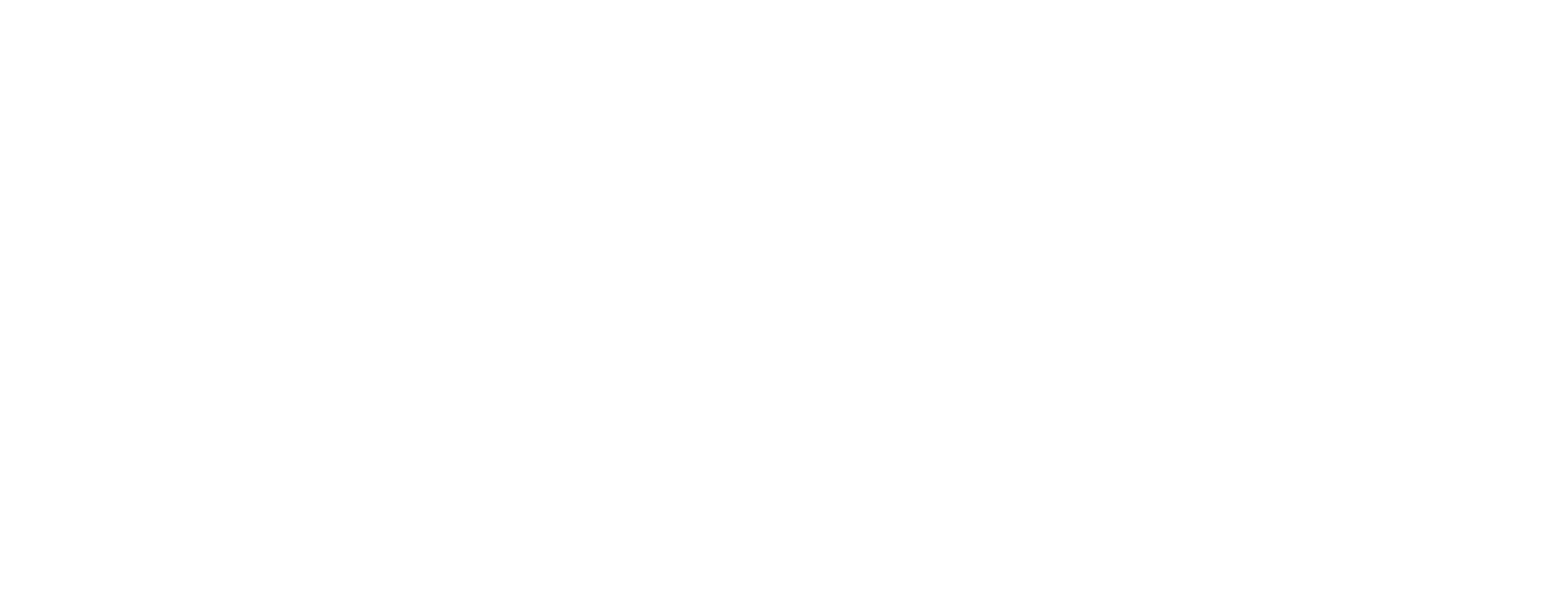 제5의 사나이