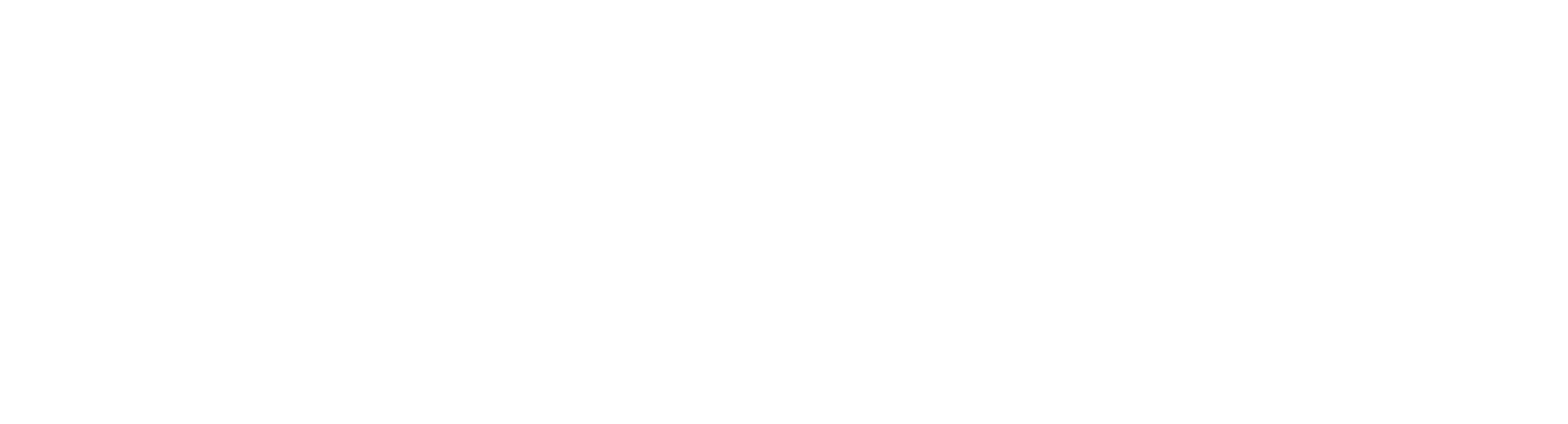 반전손님