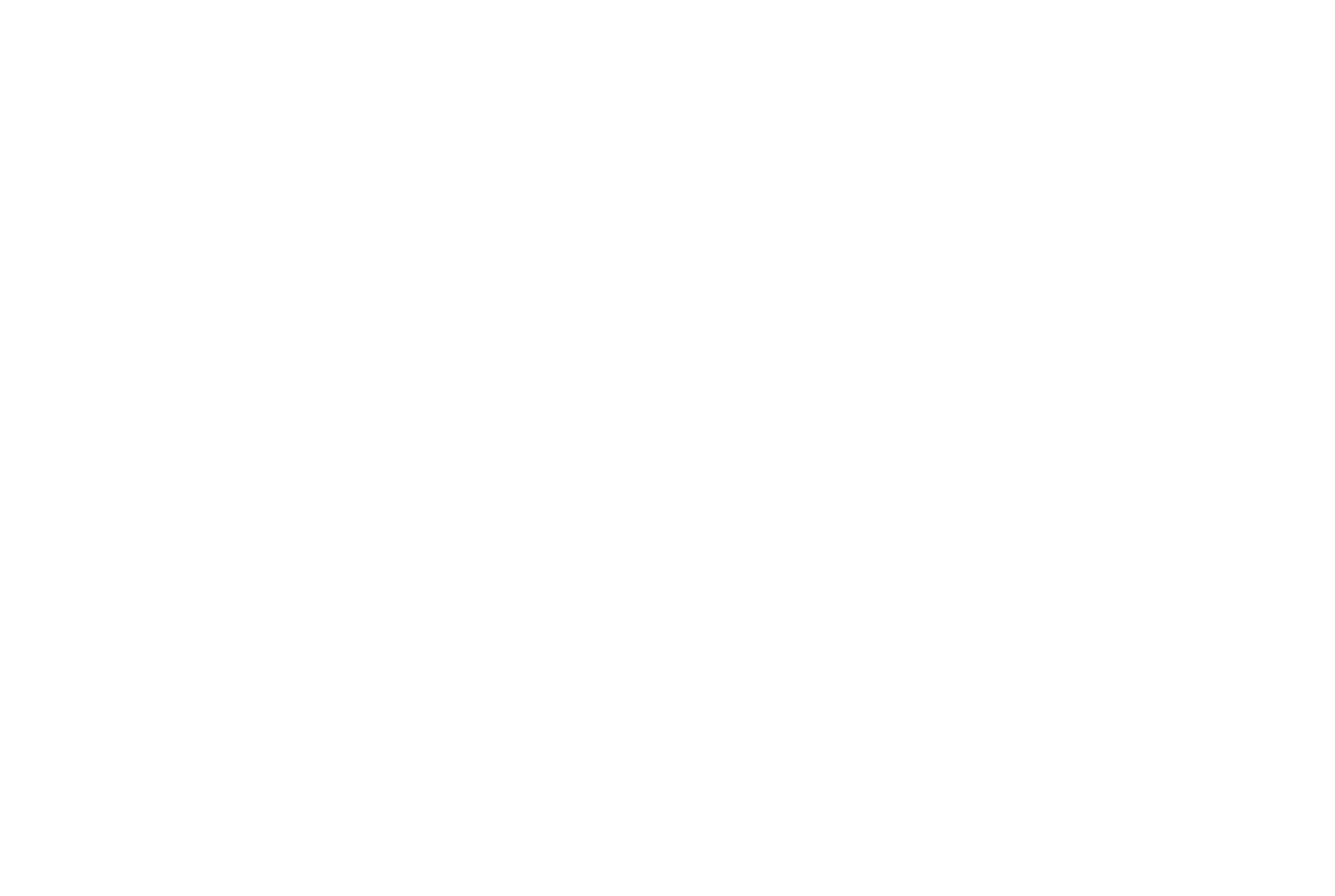 밀정