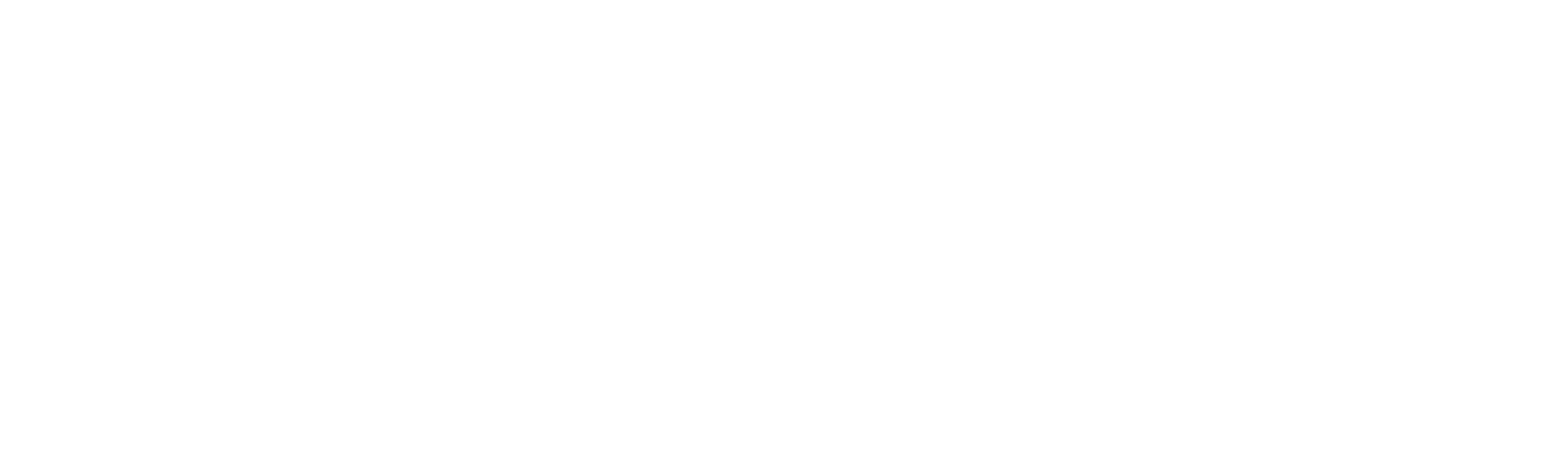 완벽한 내일