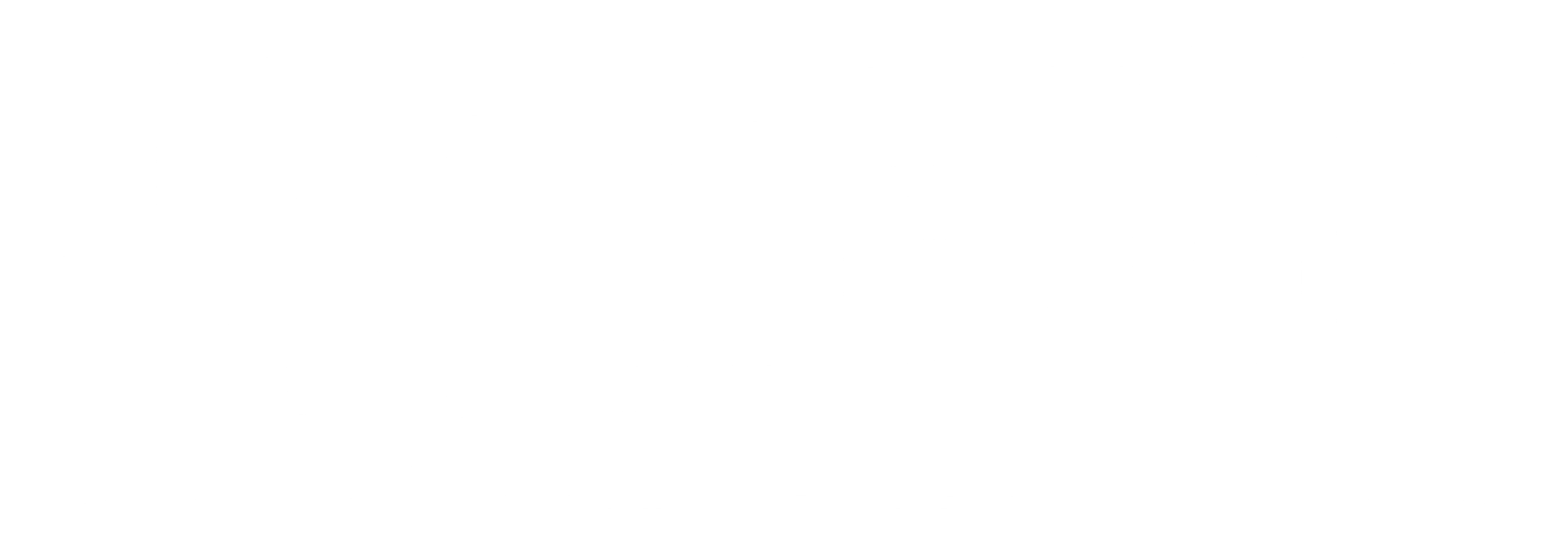 택시 드라이버
