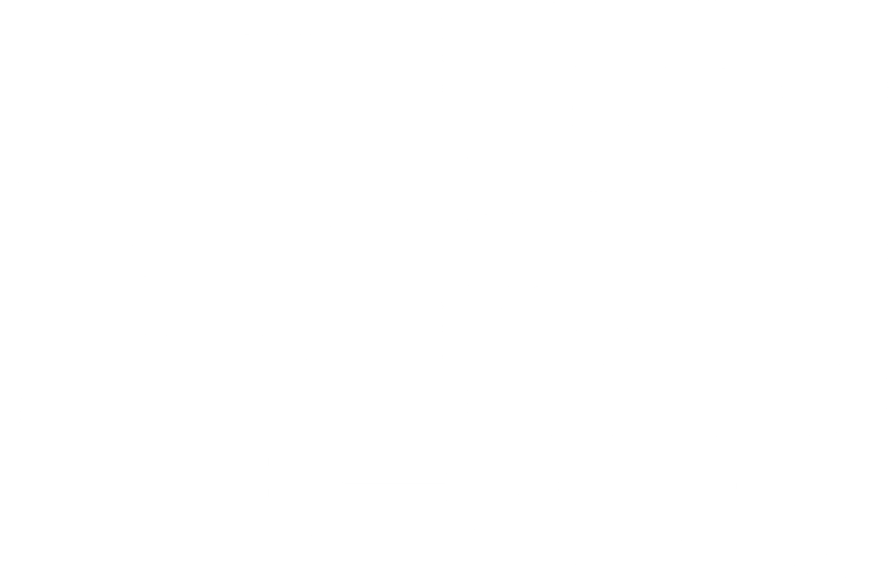 엽문 리부트 2020
