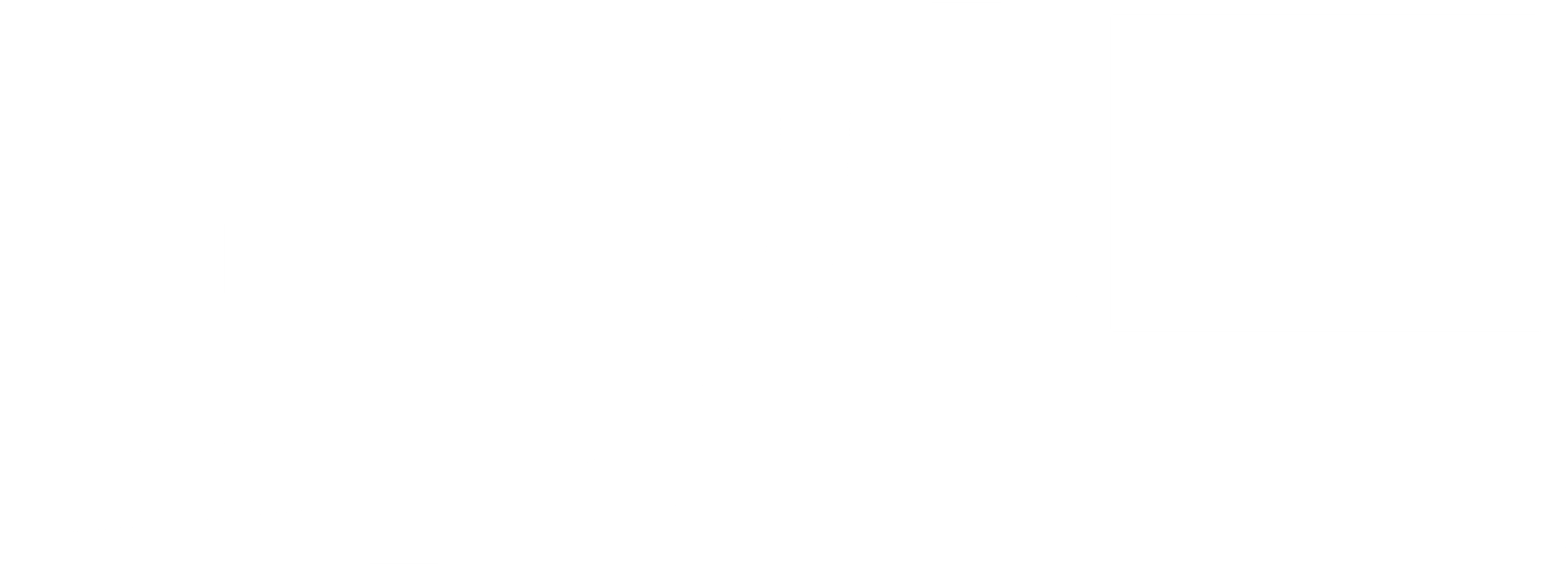 더 가드
