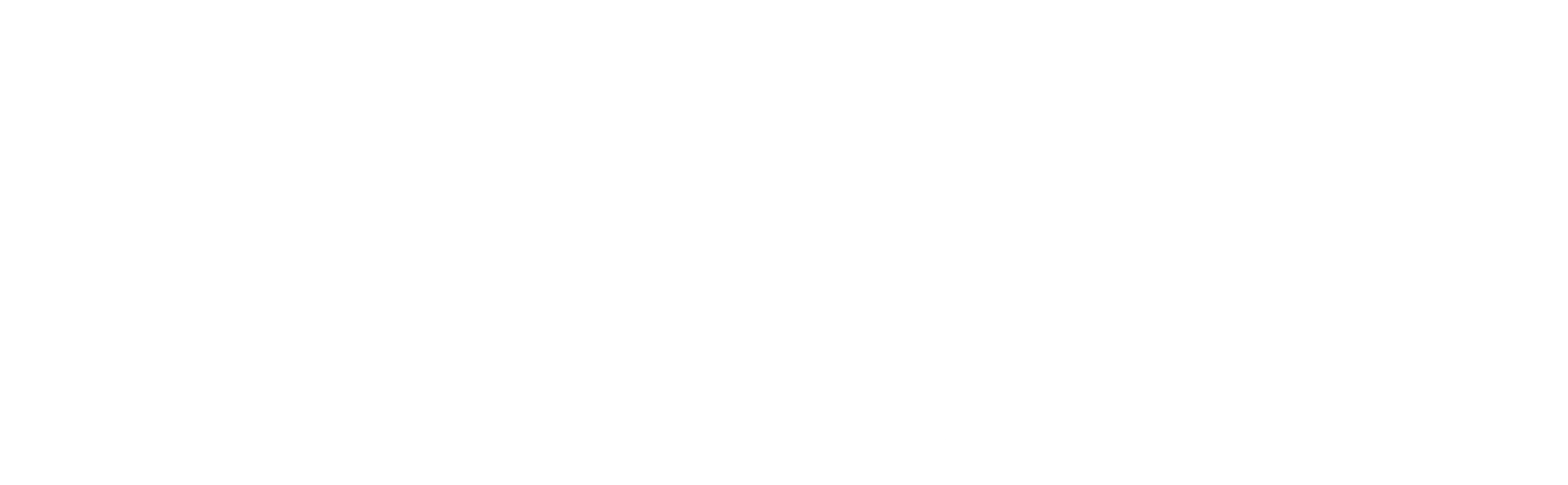 스탈린그라드: 최후의 전투