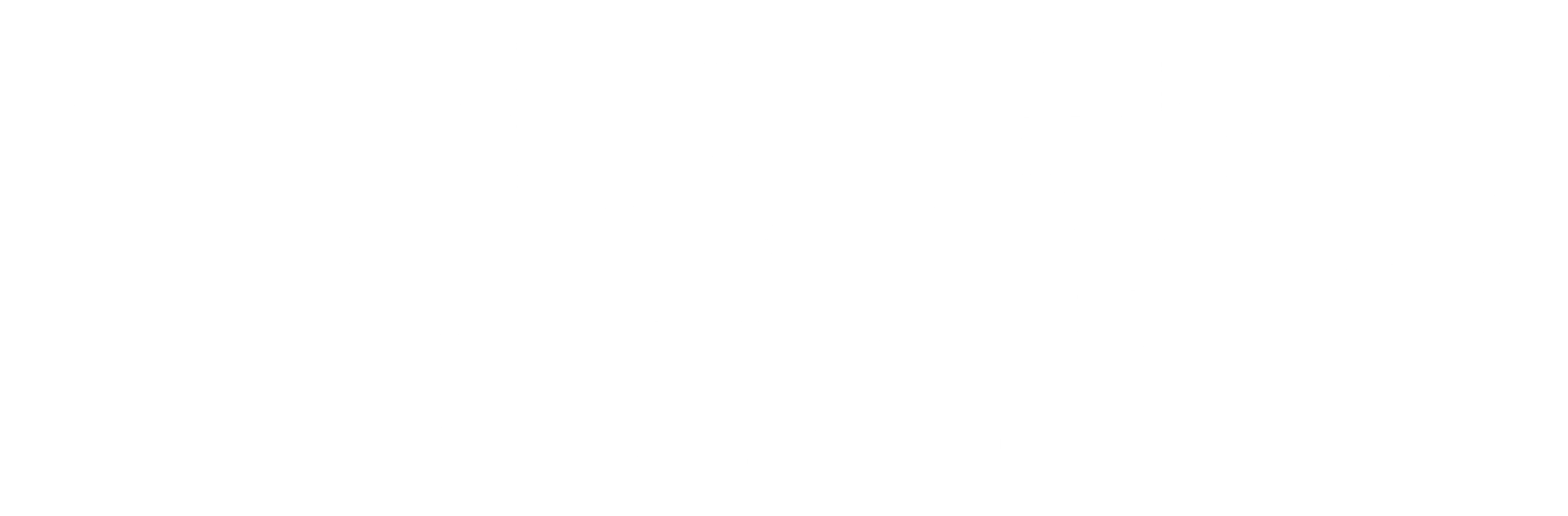 어설트 릴리 BOUQUET