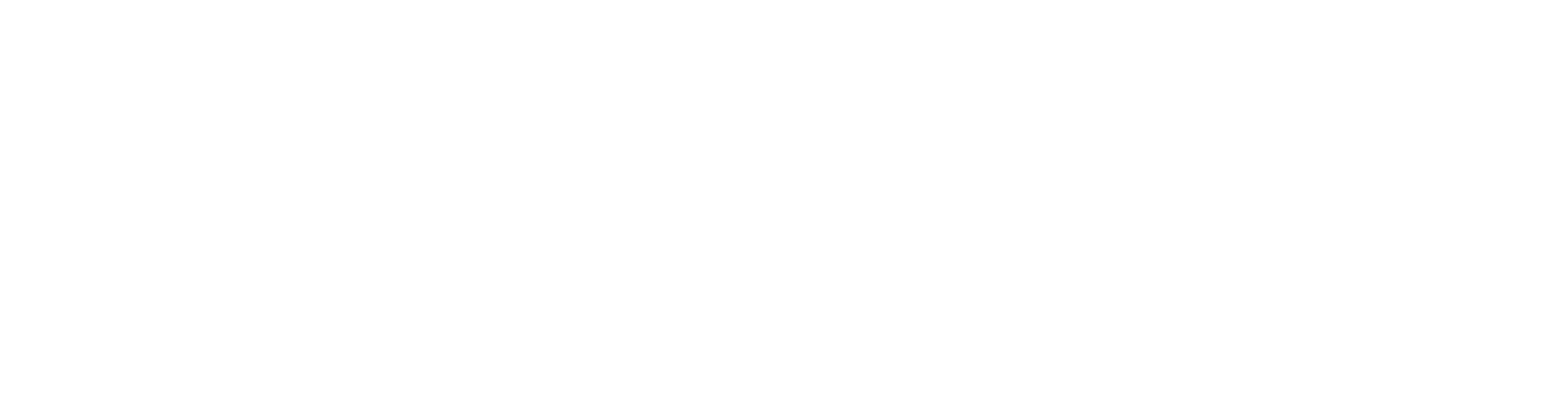 아르슬란 전기 풍진난무