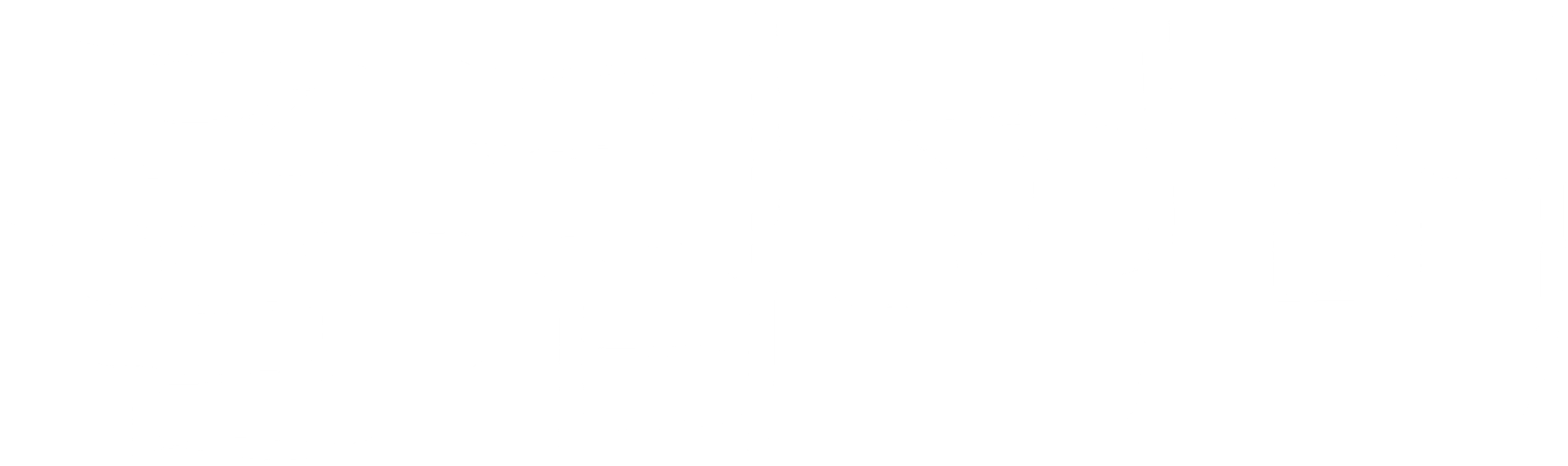 튤립 피버