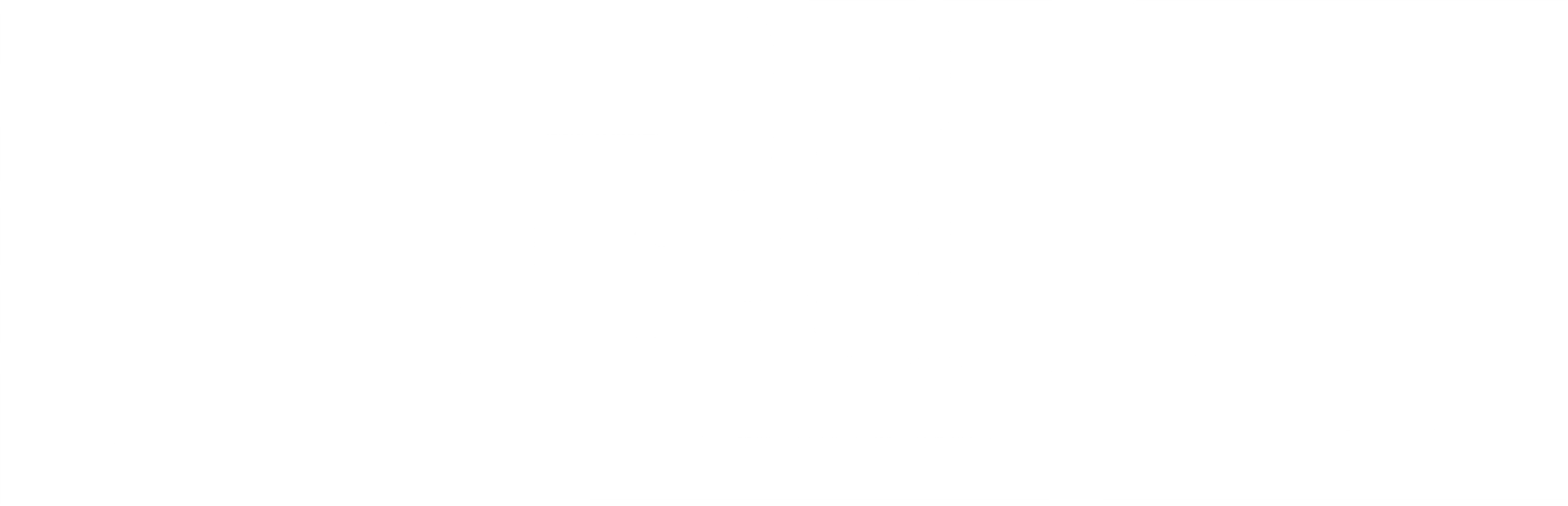 플랜 Z
