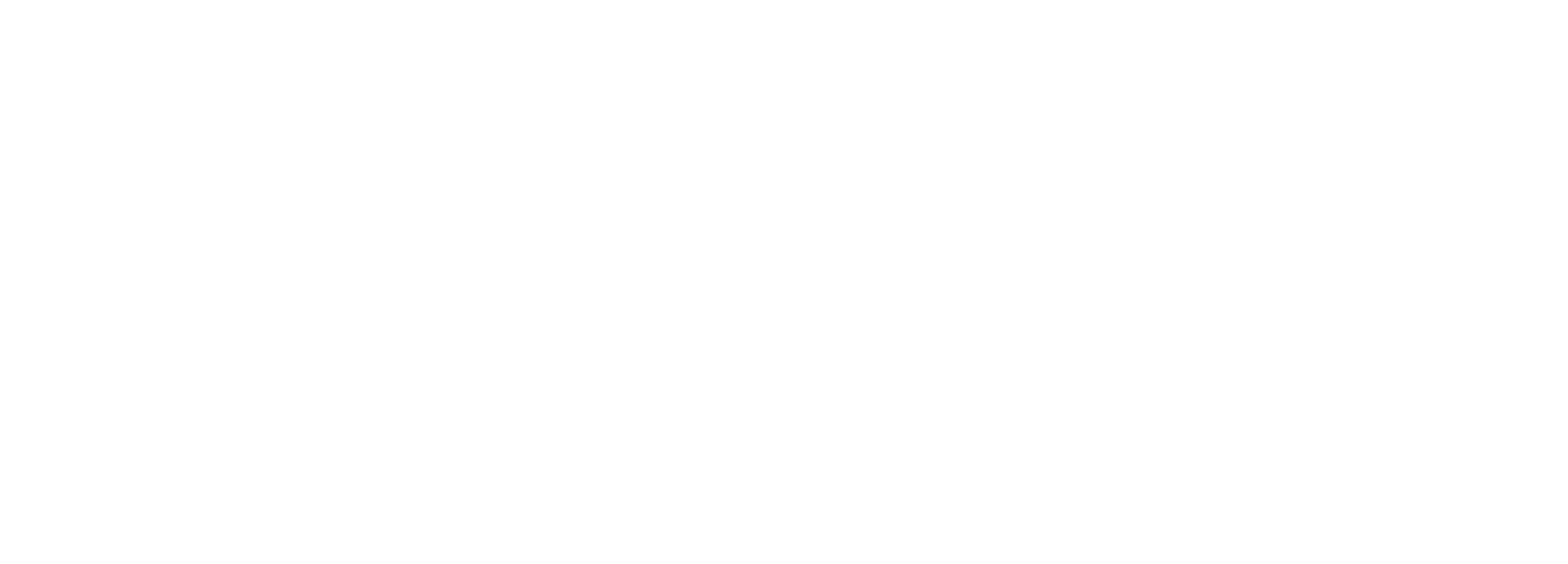 미트 페어런츠