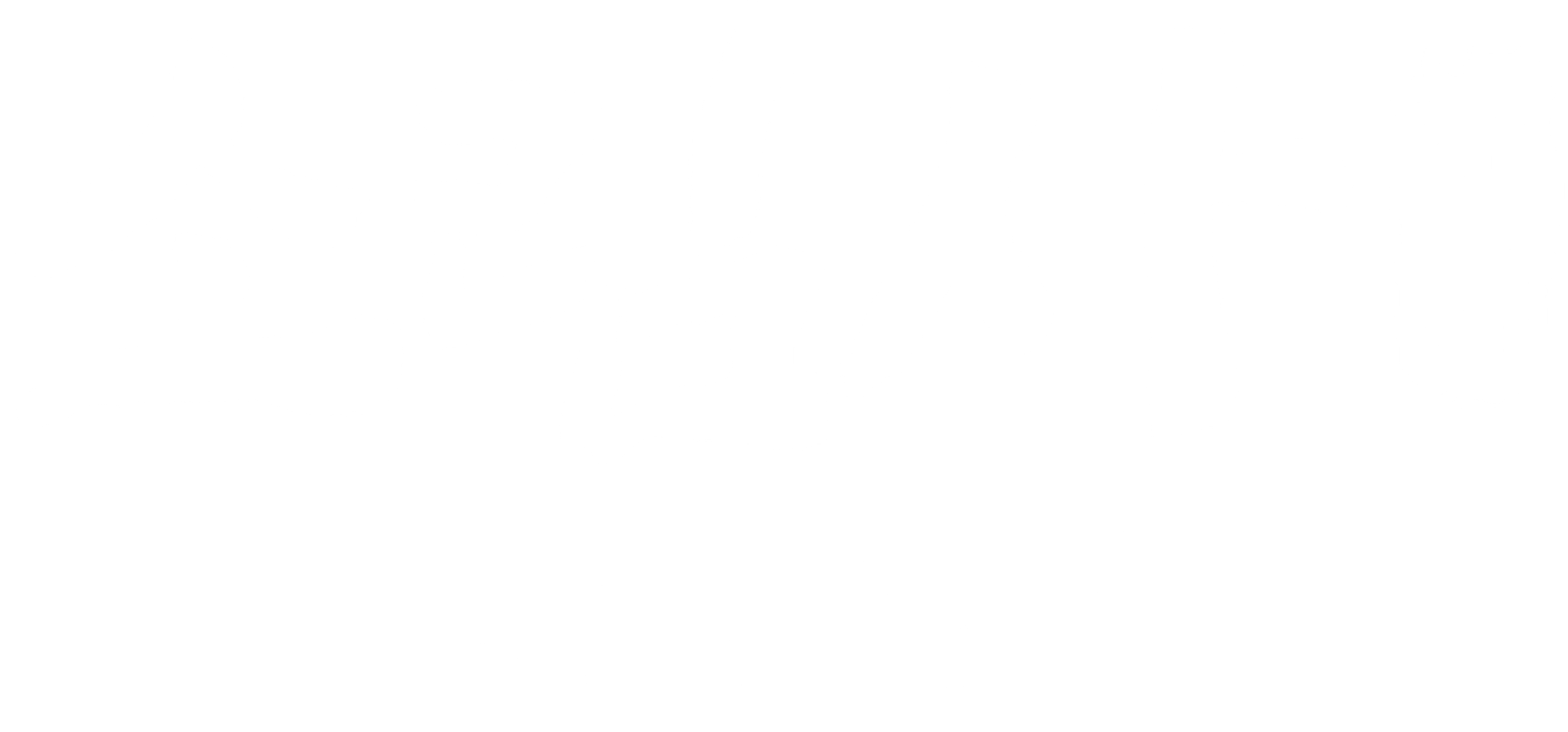 소림사전기: 난세영웅