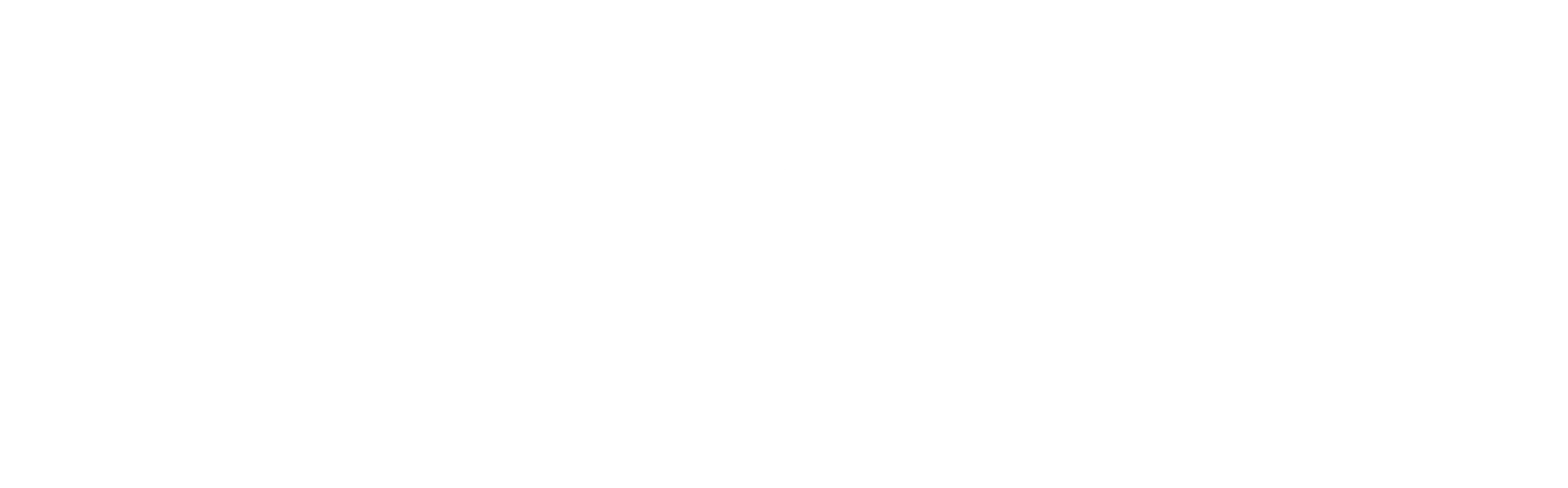 노 건즈 라이프 2기
